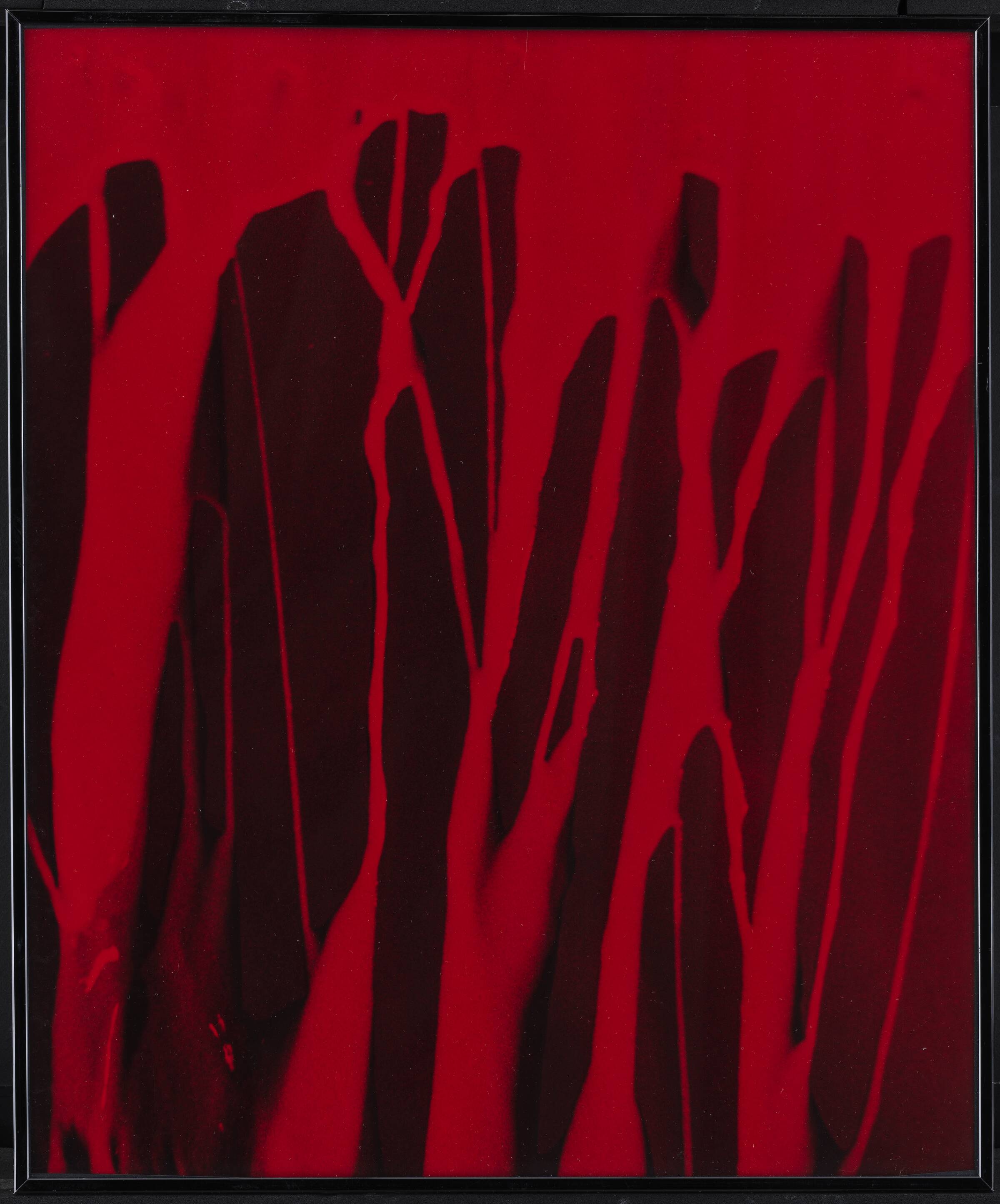 Bloody Life No. 1, George, 1975