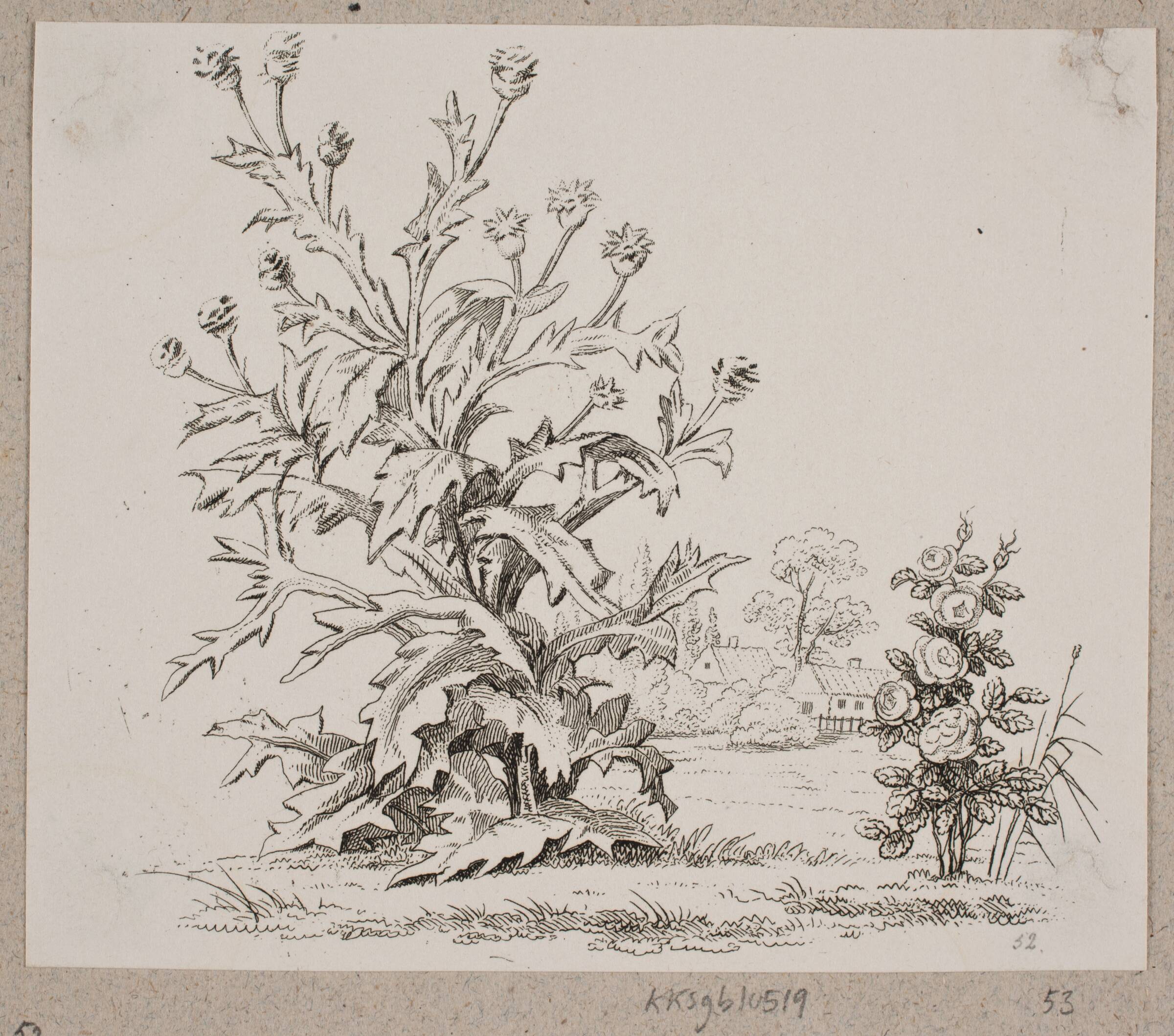 Tidselen og rosen, Oluf Olufsen Bagge, 1831-1833
