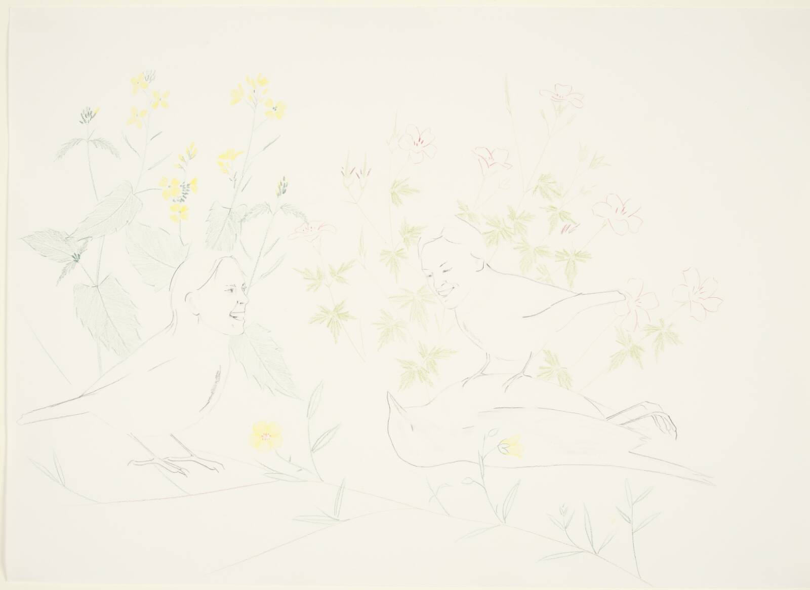 The bird is just sleeping, Lise Blomberg, 2004