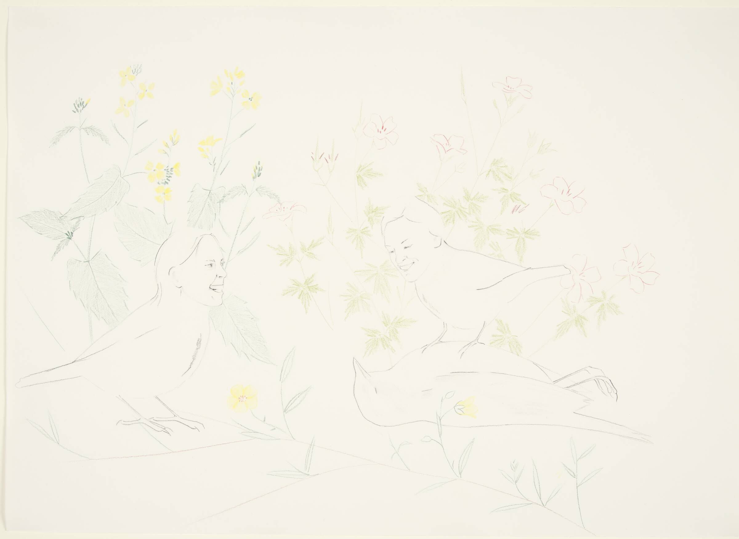 The bird is just sleeping, Lise Blomberg, 2004
