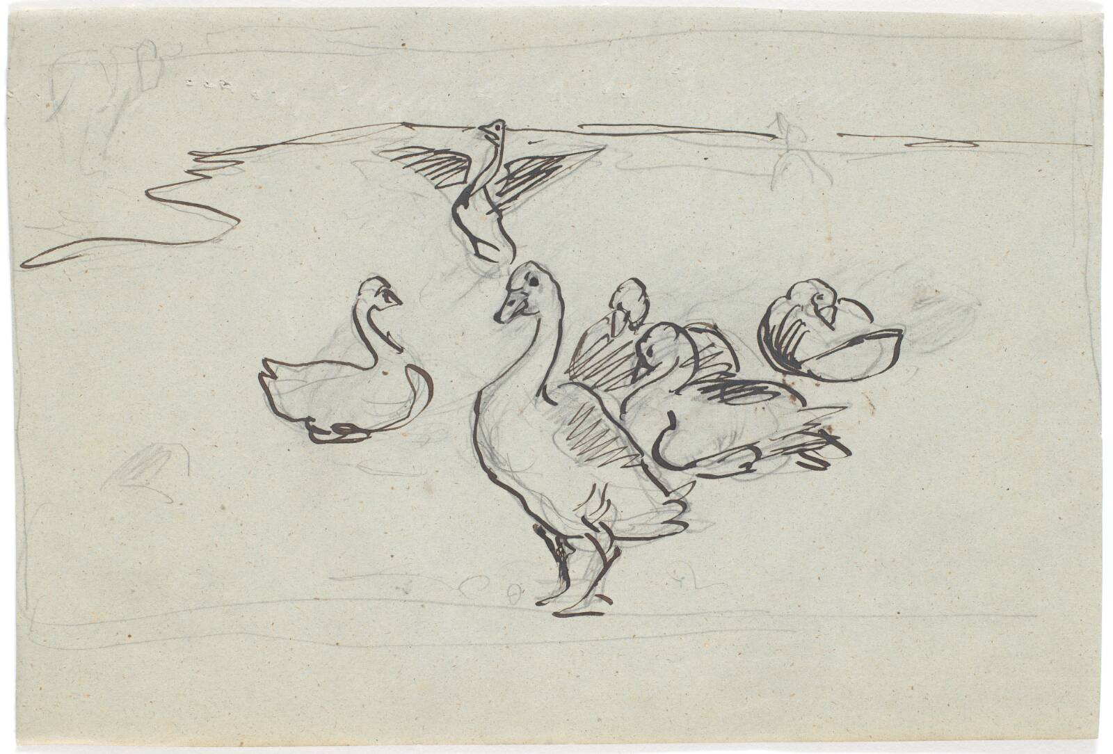 Studie af gæs, Theodor Philipsen, 1897