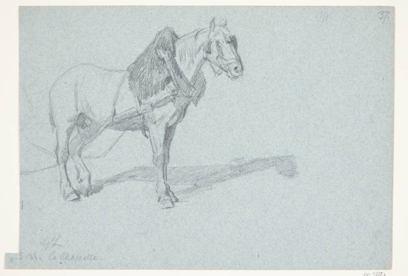 En hest, Agnes Lunn, 1881