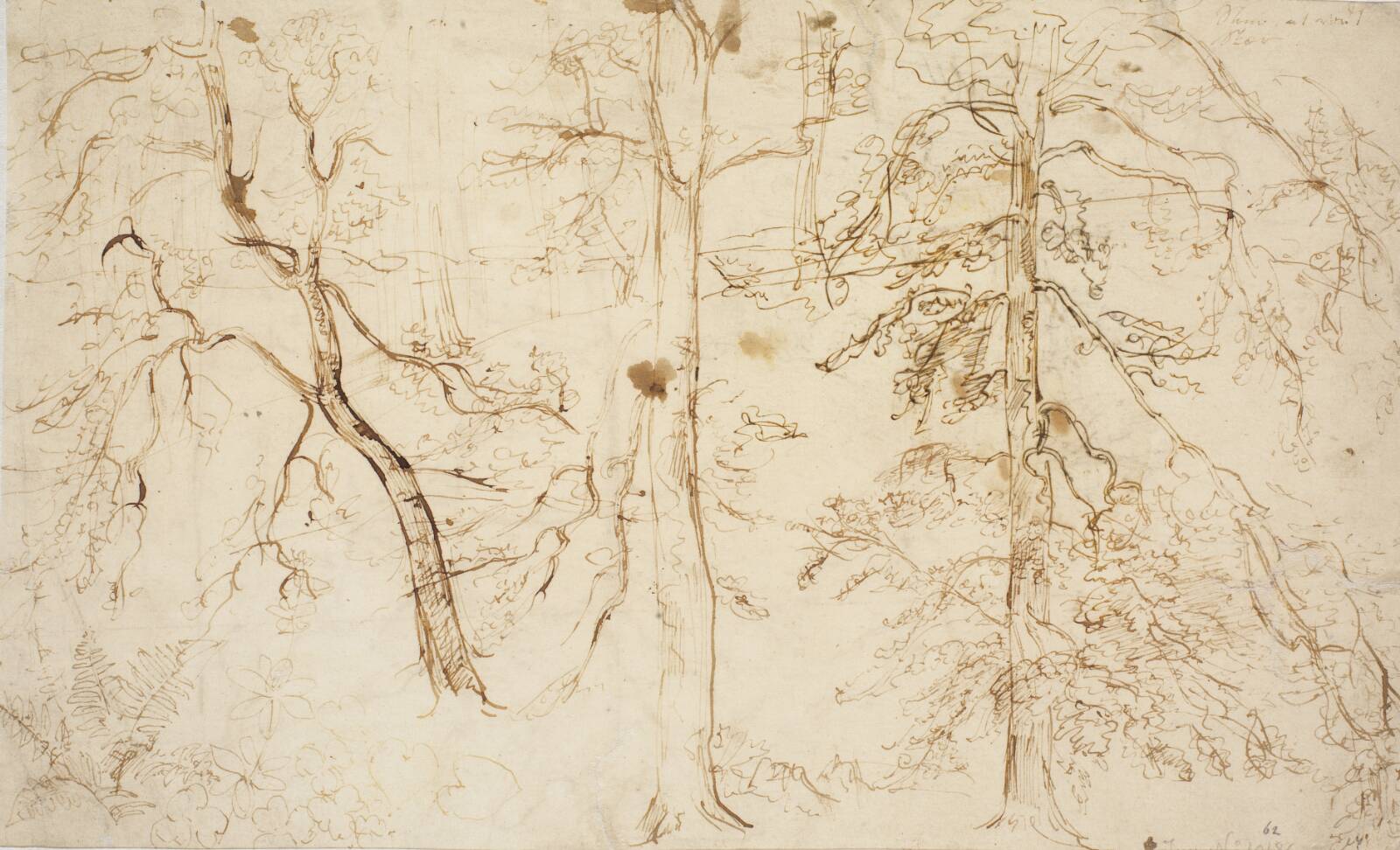 Skovinteriør, Dankvart Dreyer, 1840-1849