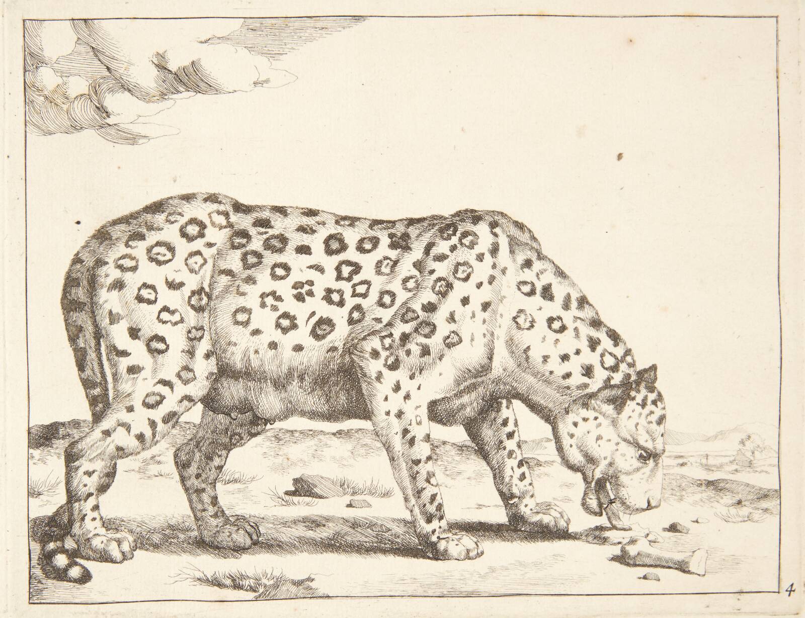 Hunleopard, Marcus de Bye, 1638-1690