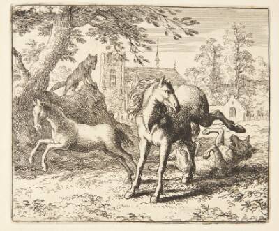 Renard narrer ulven