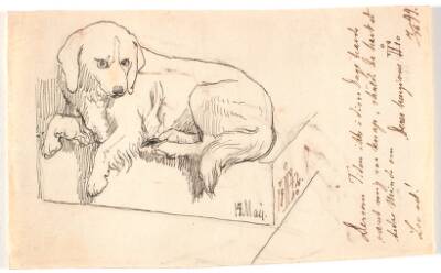 Liggende hund