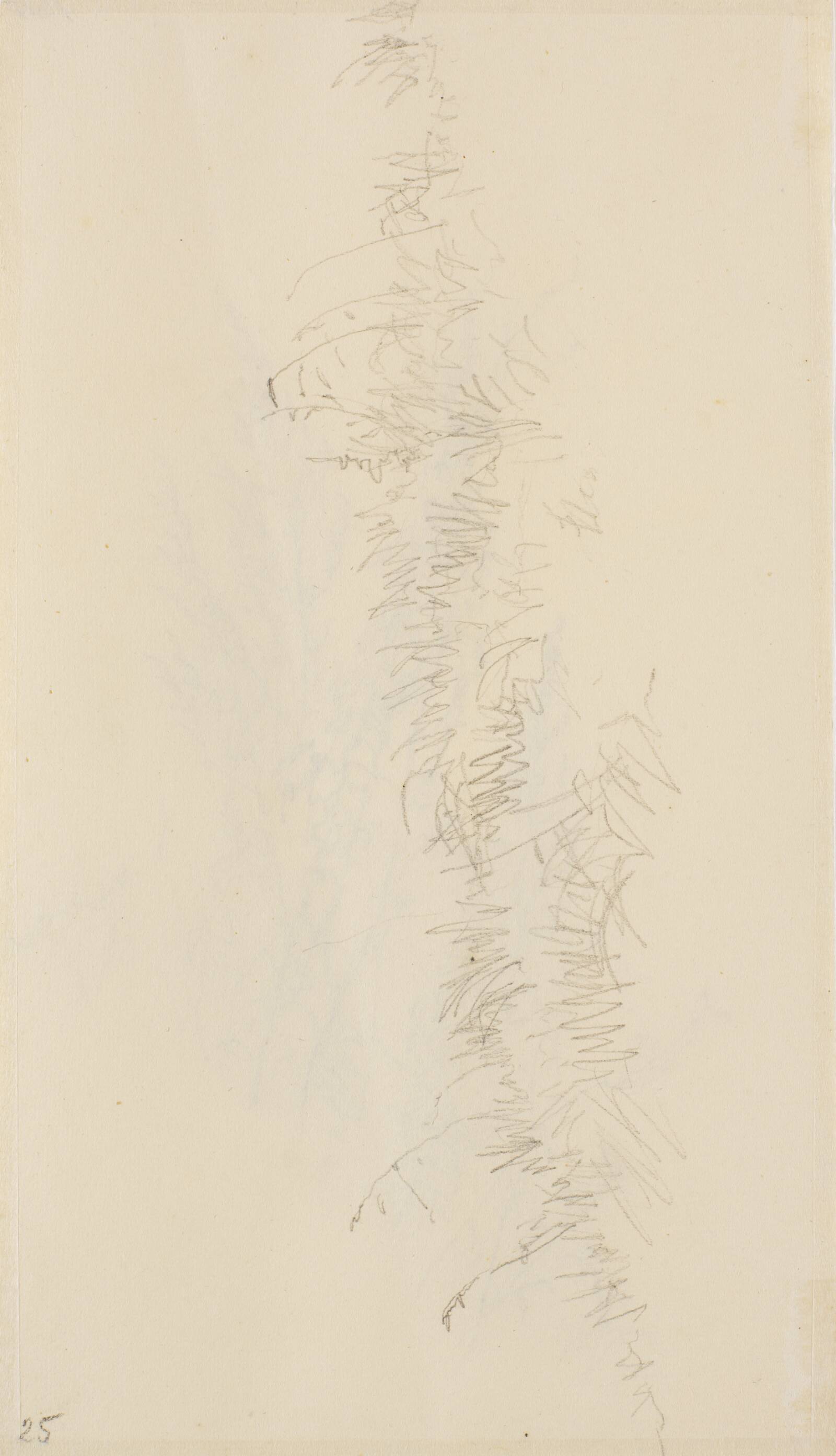 Studie af græs, Christen Købke, 1810-1848