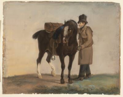 Opsadlet hest med rytter