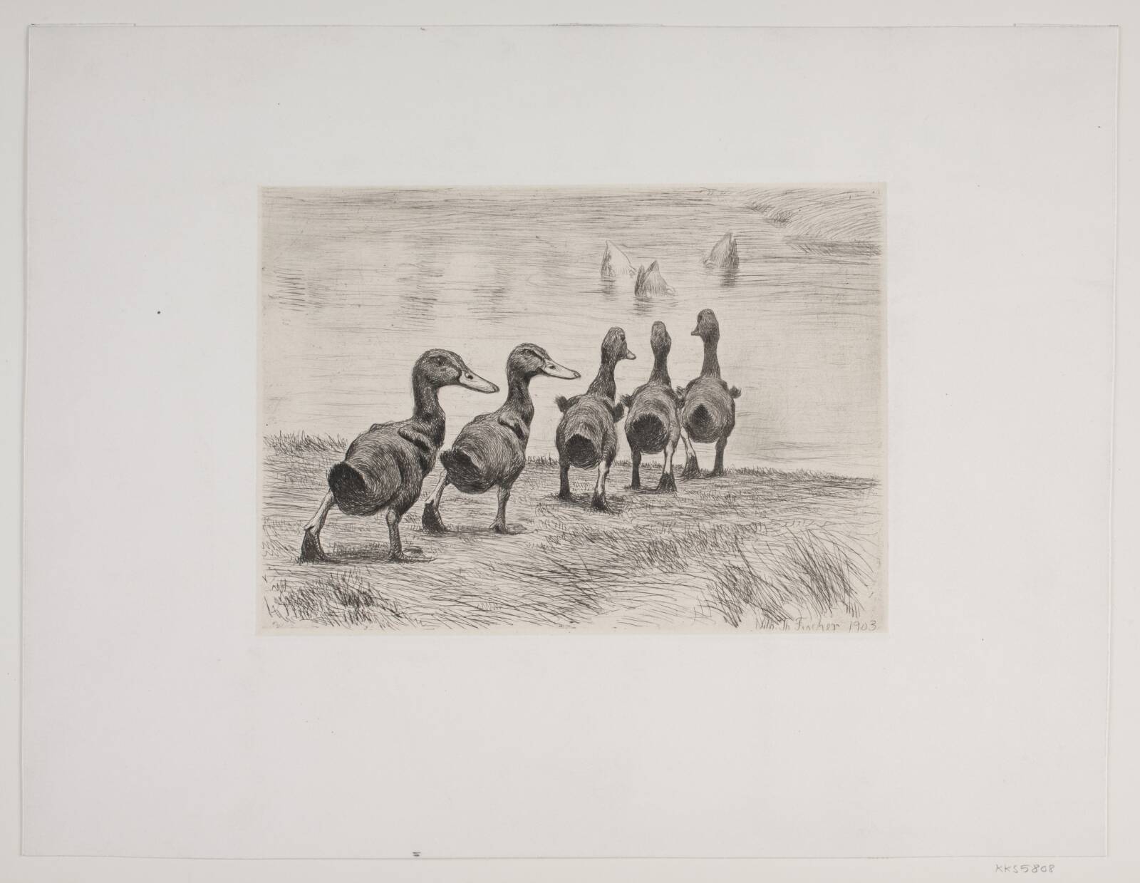 Fem ællinger, Vilhelm Th. Fischer, 1903