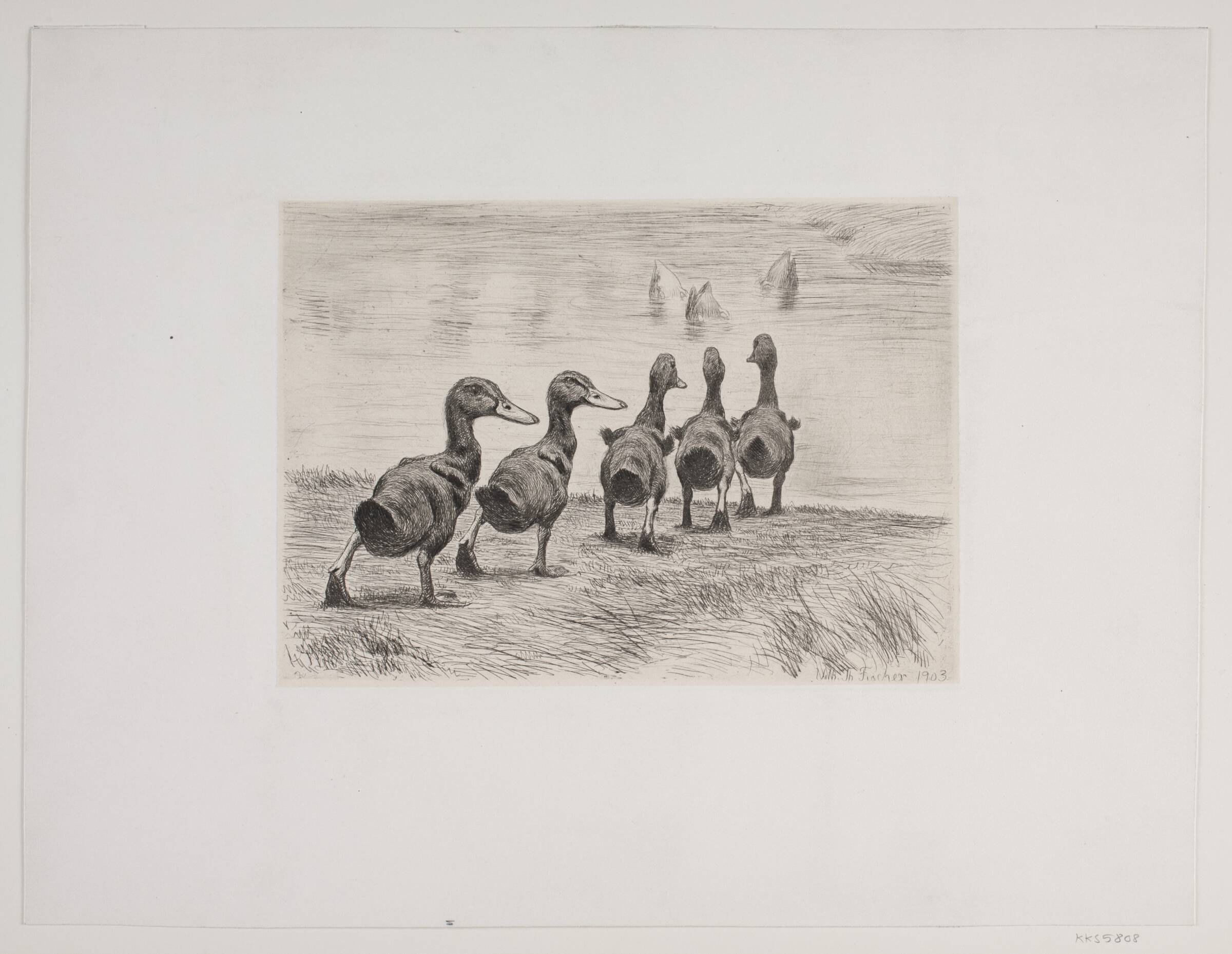 Fem ællinger, Vilhelm Th. Fischer, 1903