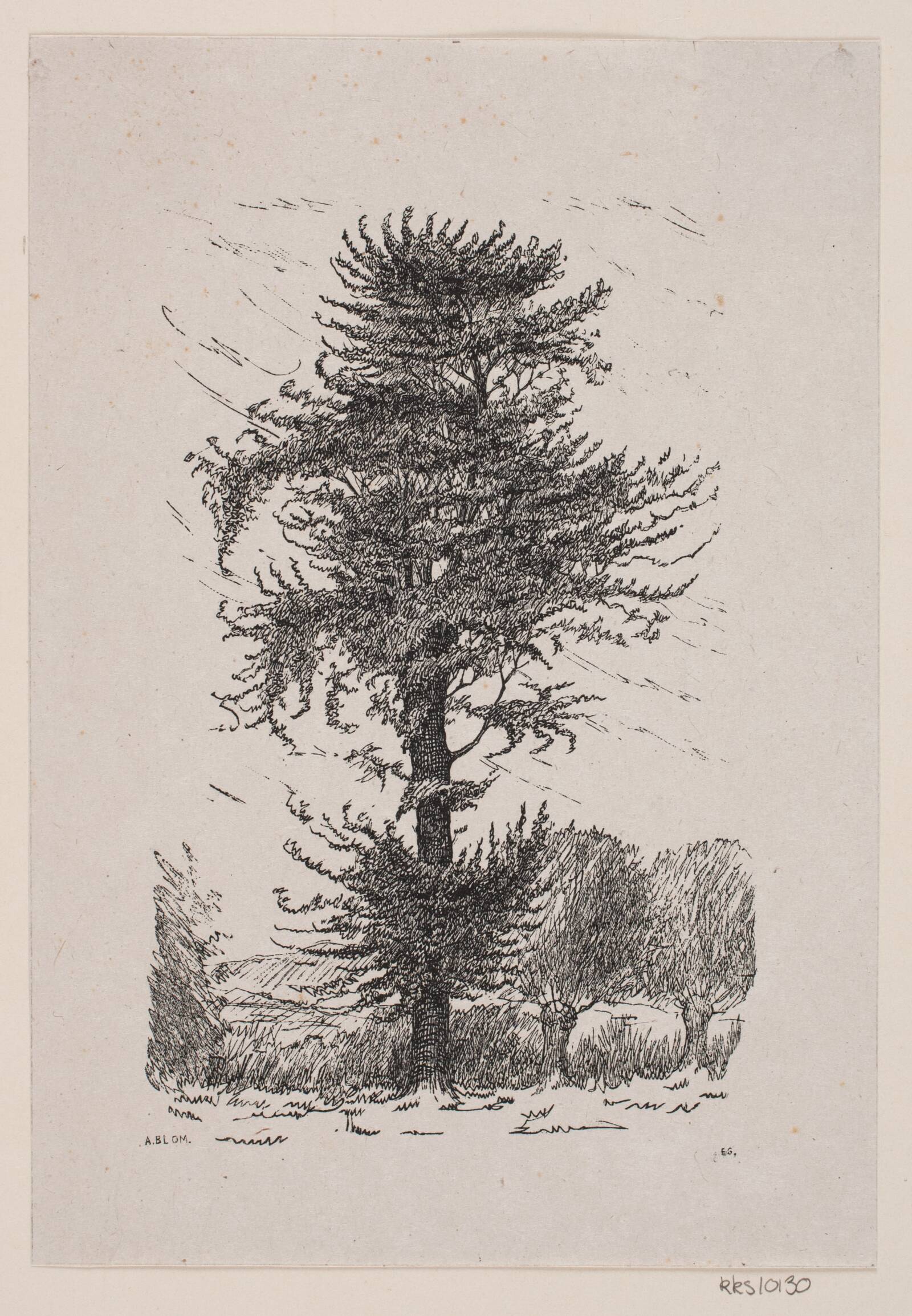 Eg ved Guldberg, Alexander Blom, 1861-1934