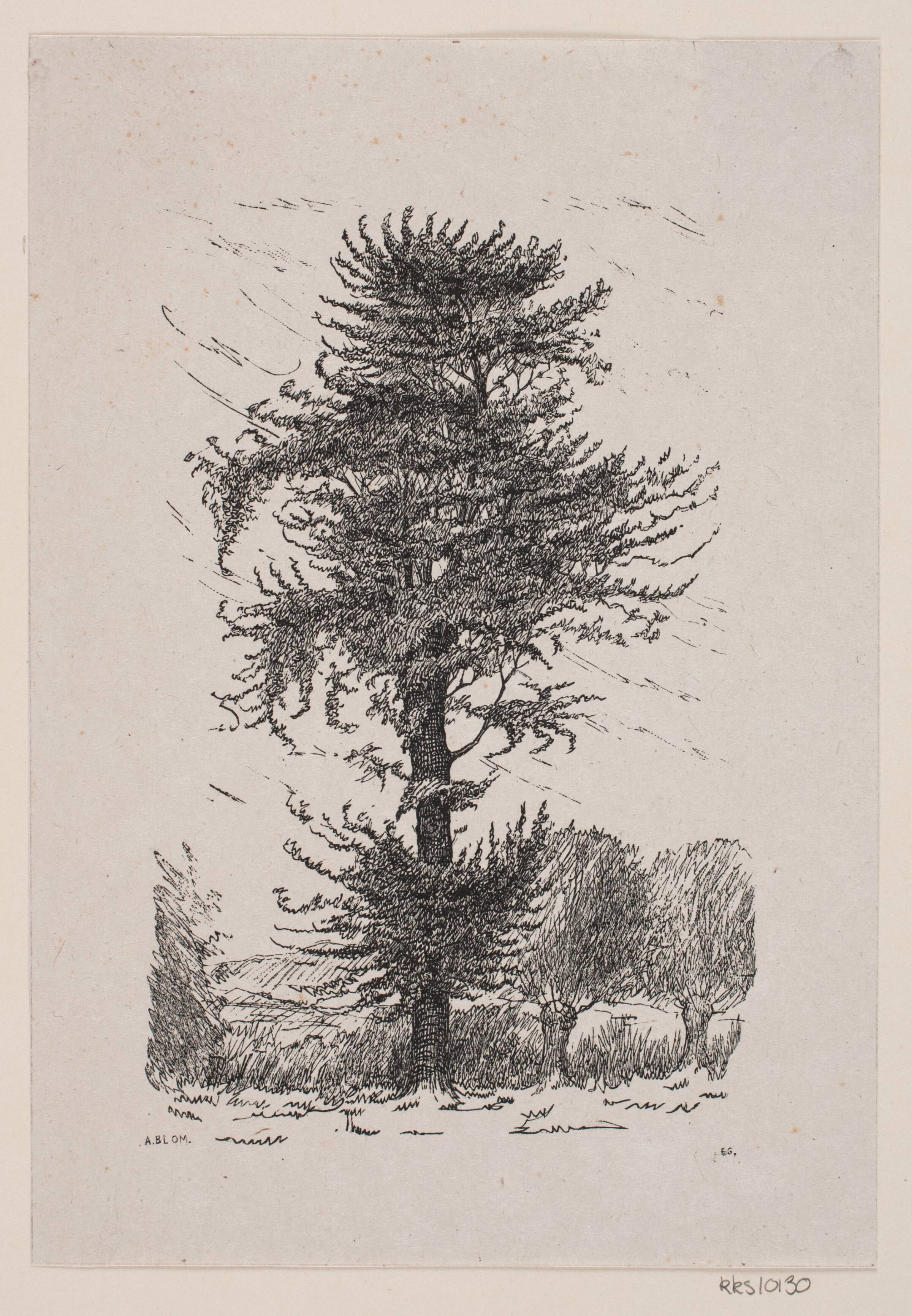 Eg ved Guldberg, Alexander Blom, 1861-1934