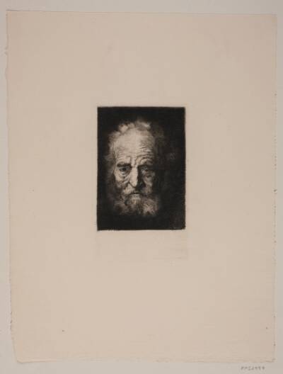 Oldingehoved. Studie efter Rembrandt
