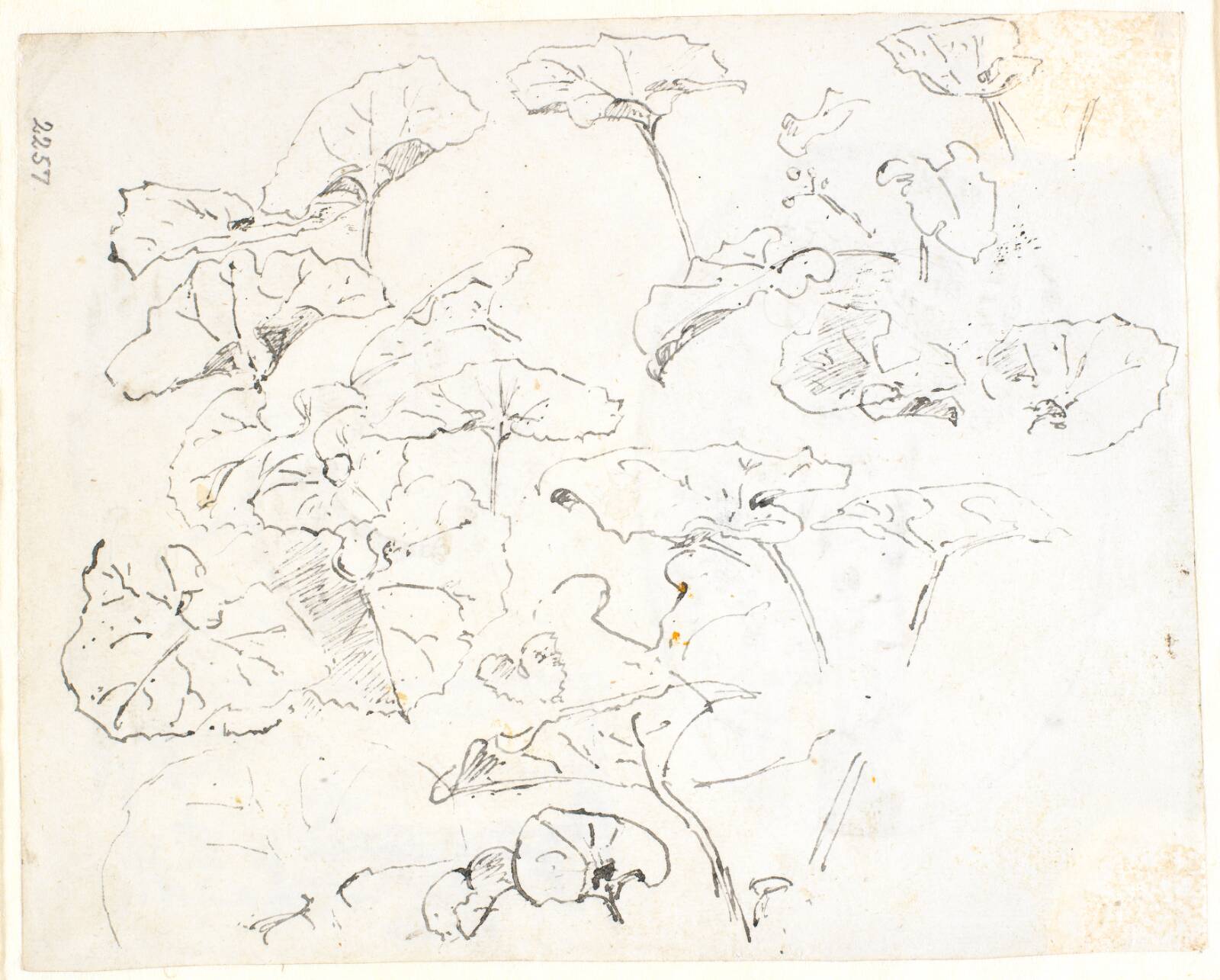 Plantestudier, Dankvart Dreyer, 1840-1849