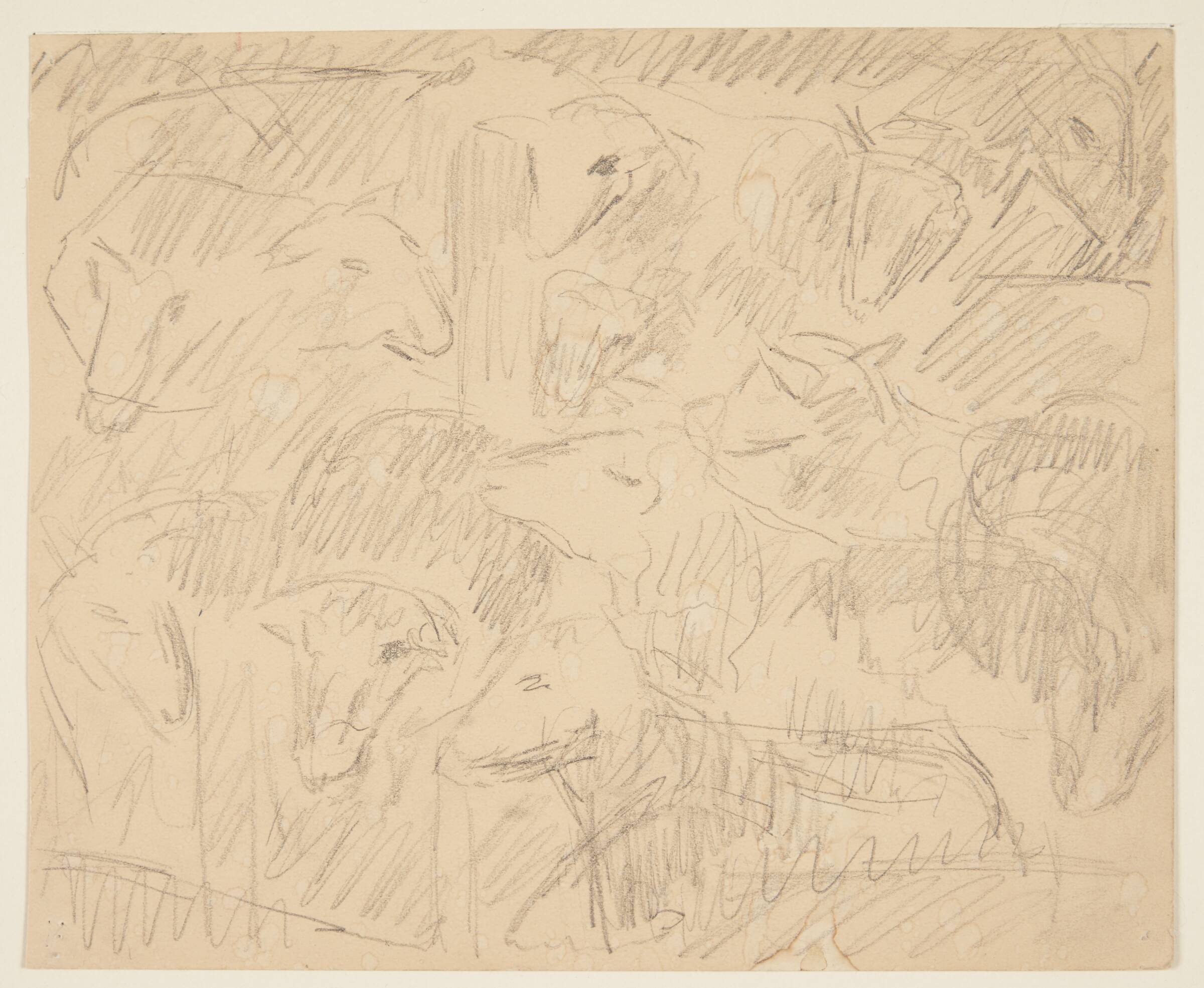 Fåreflok, Astrid Noack, 1888-1954