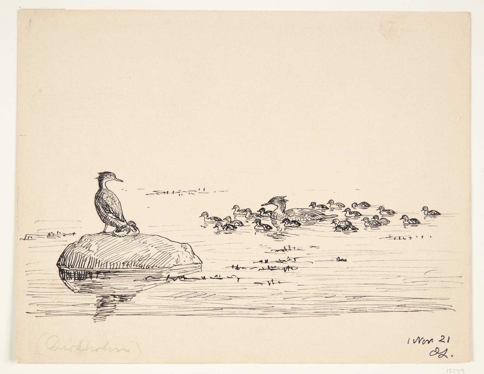 Fuglestudie, Johannes Larsen, 1921