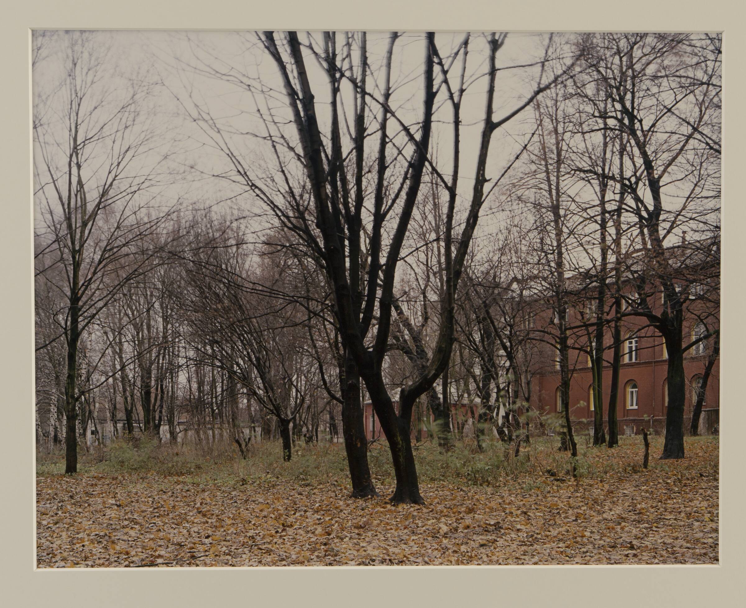 The Kant Walks #4, Joachim Koester, 2003-2004