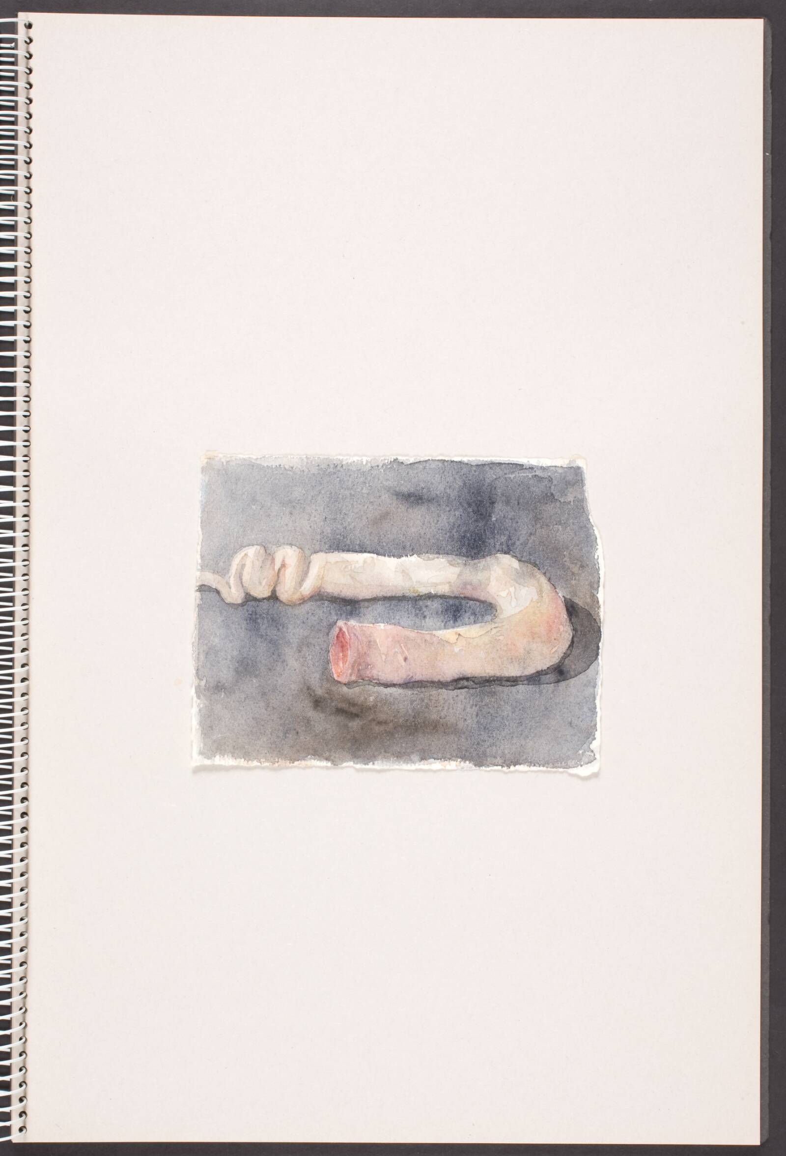 Liggende, tarmlignende form, Michael Kvium, 1991-1993