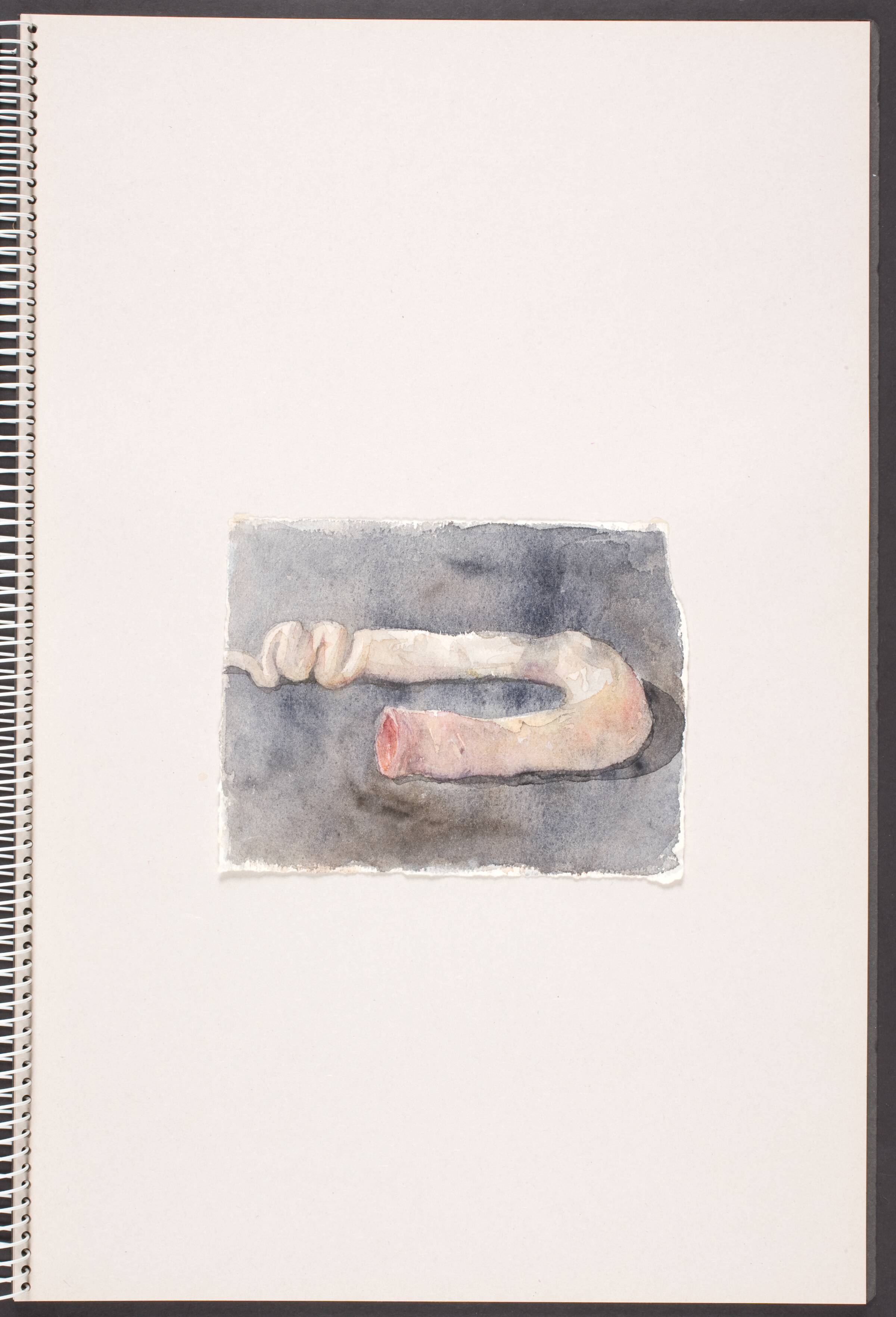 Liggende, tarmlignende form, Michael Kvium, 1991-1993