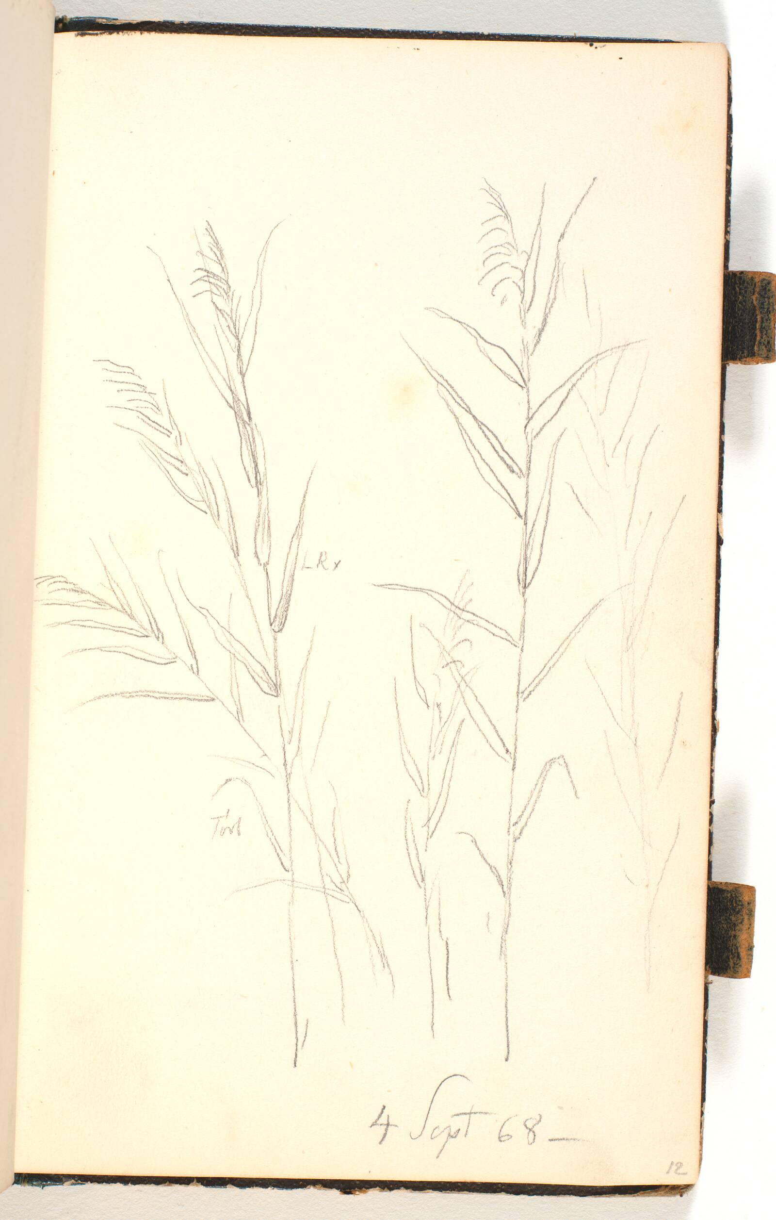 Siv, P.C. Skovgaard, 1868