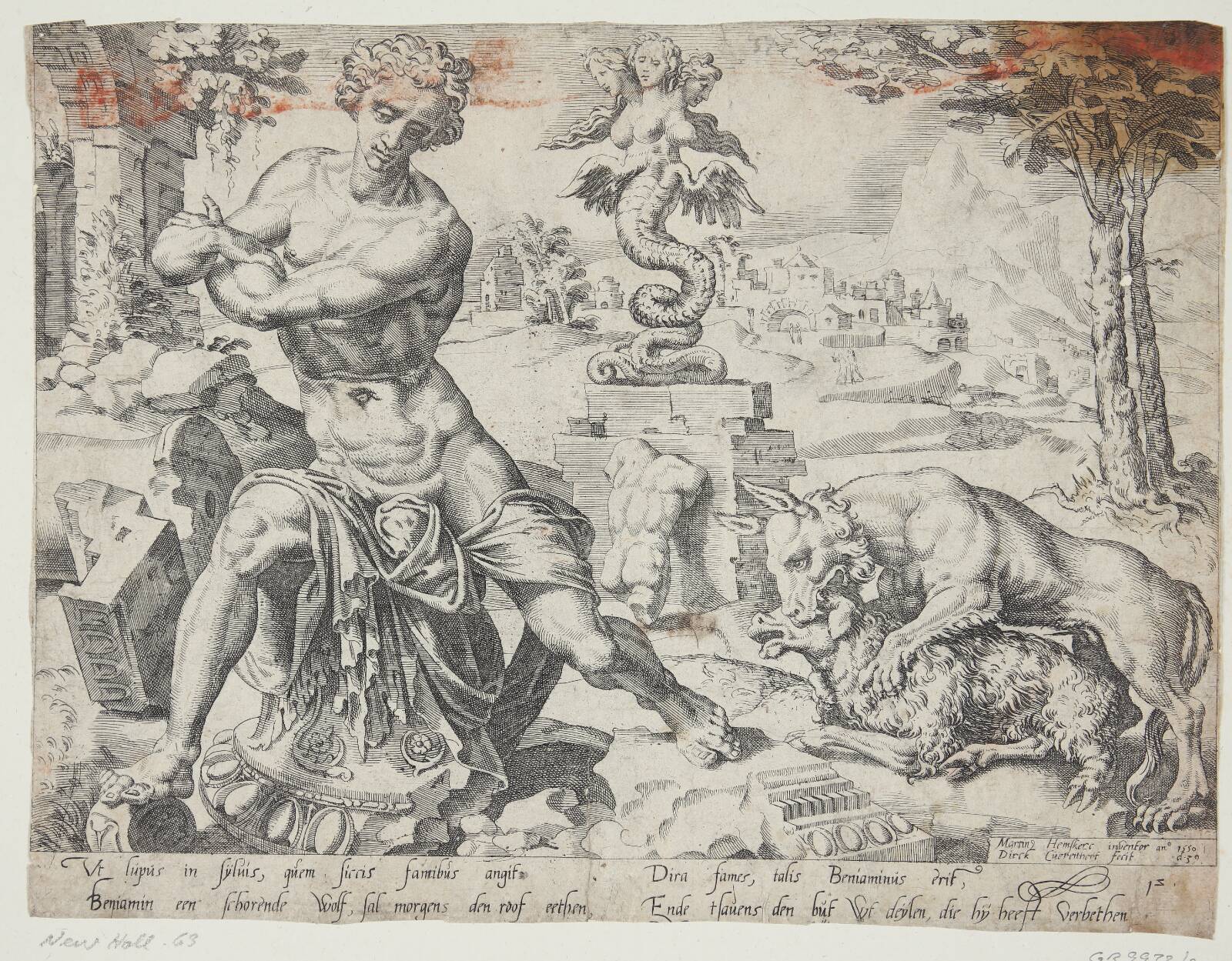 Benjamin, Dirk Volkertsz. Coornhert, 1547-1550