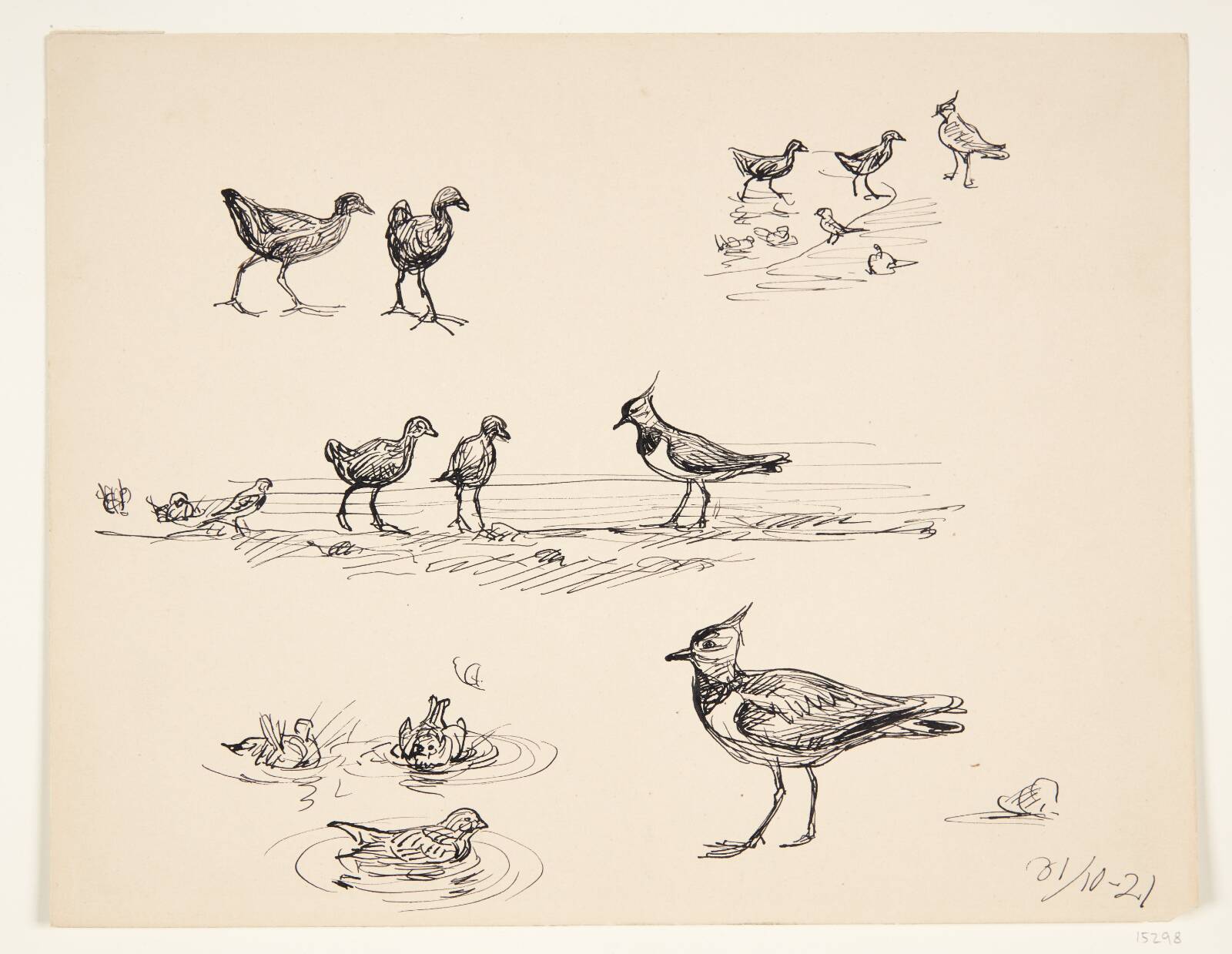 Fuglestudie, Johannes Larsen, 1921