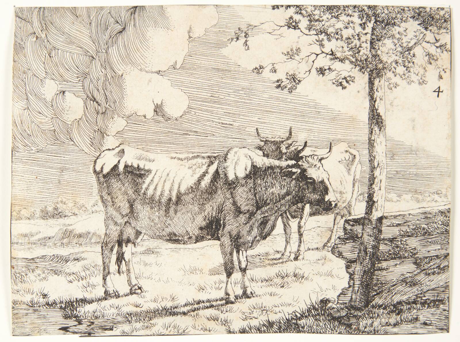To stående køer, Marcus de Bye, 1638-1690