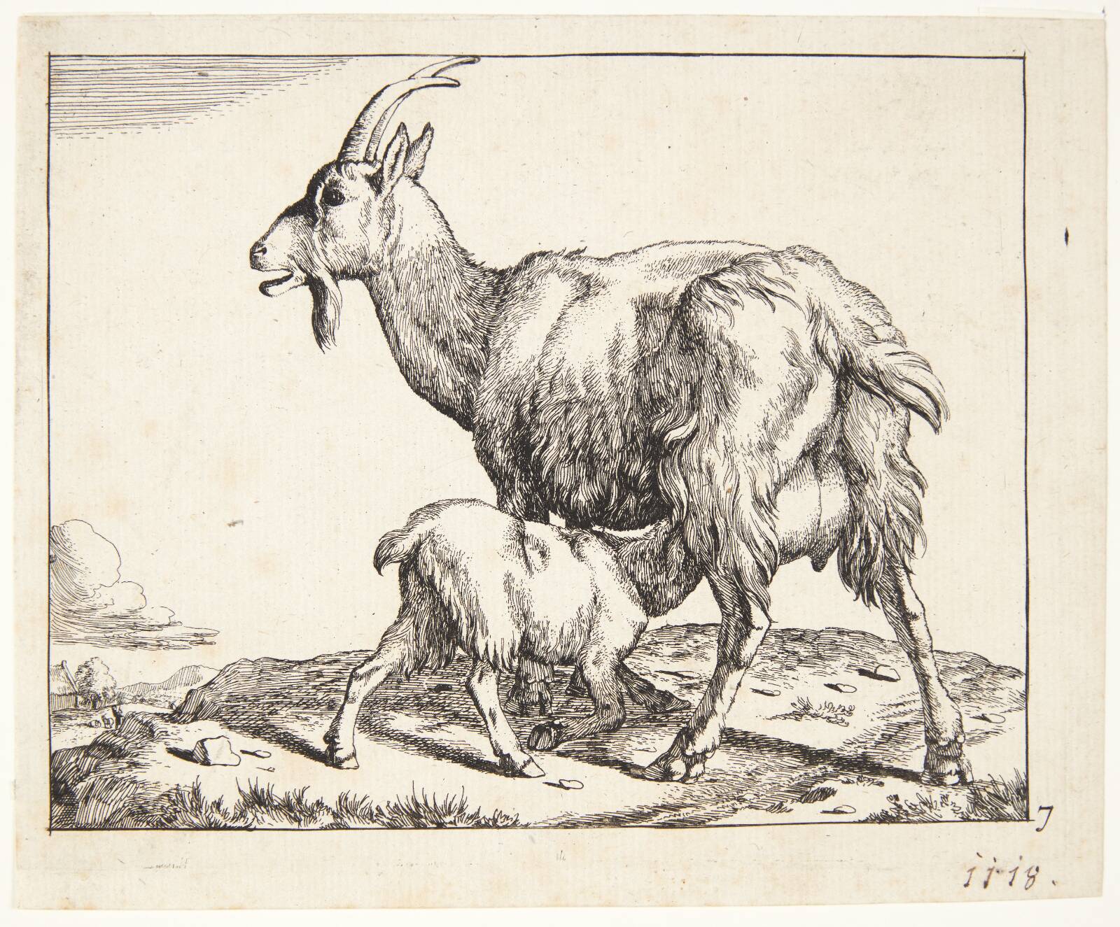 Ged med et diende kid, Marcus de Bye, 1638-1690