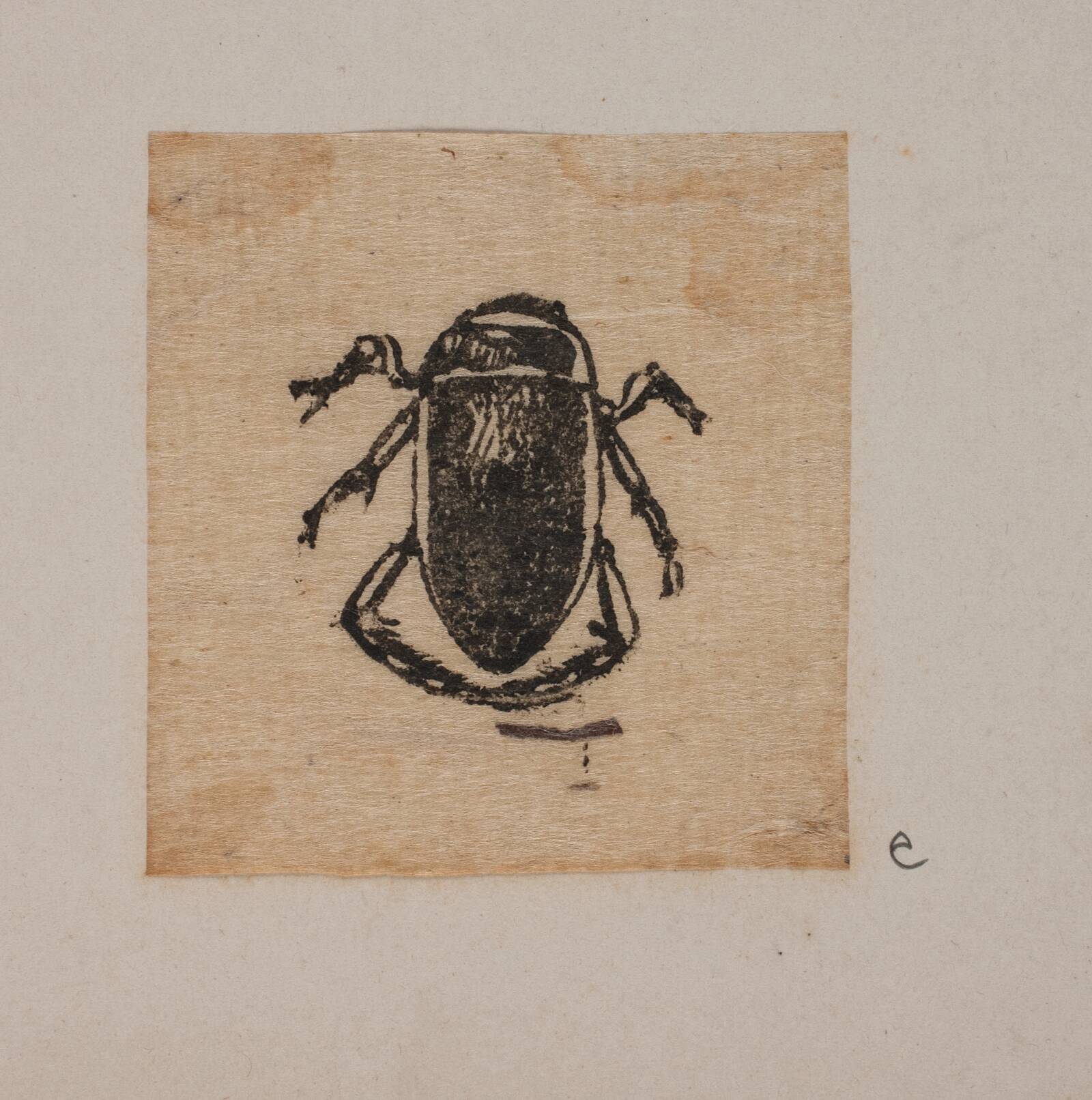 Insekt, Joakim Skovgaard, 1865-1870