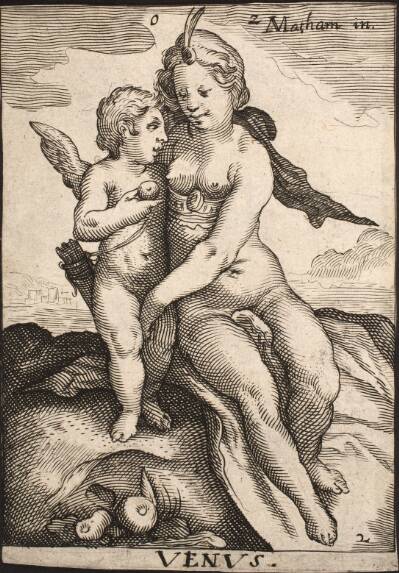 Venus og Amor