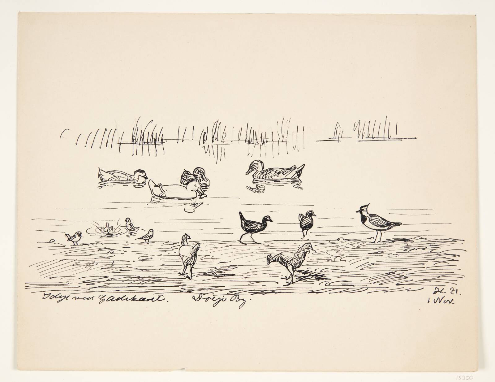 Fuglestudie, Johannes Larsen, 1921