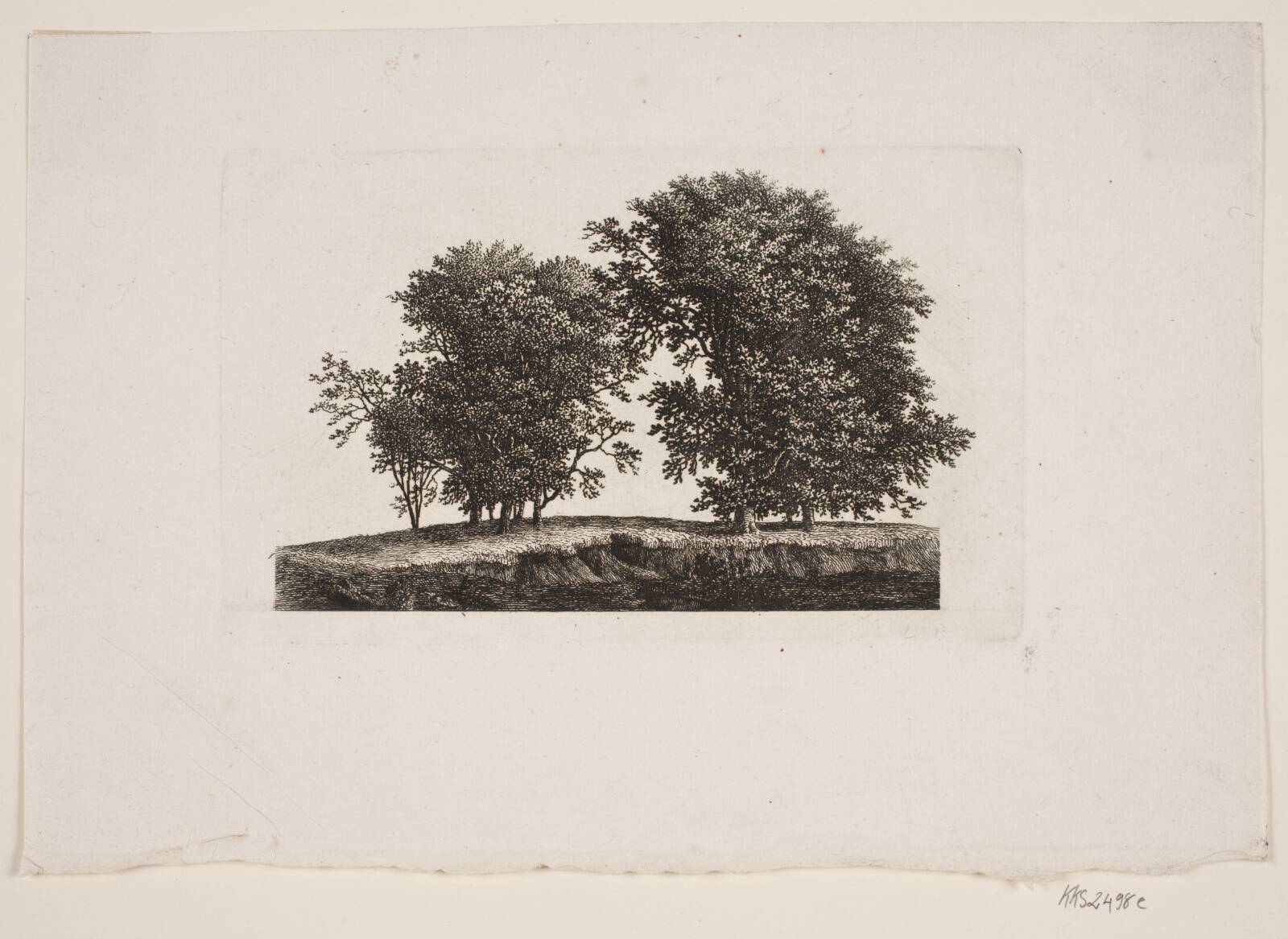 Slette med træer, Søren Henrik Petersen, 1788-1860