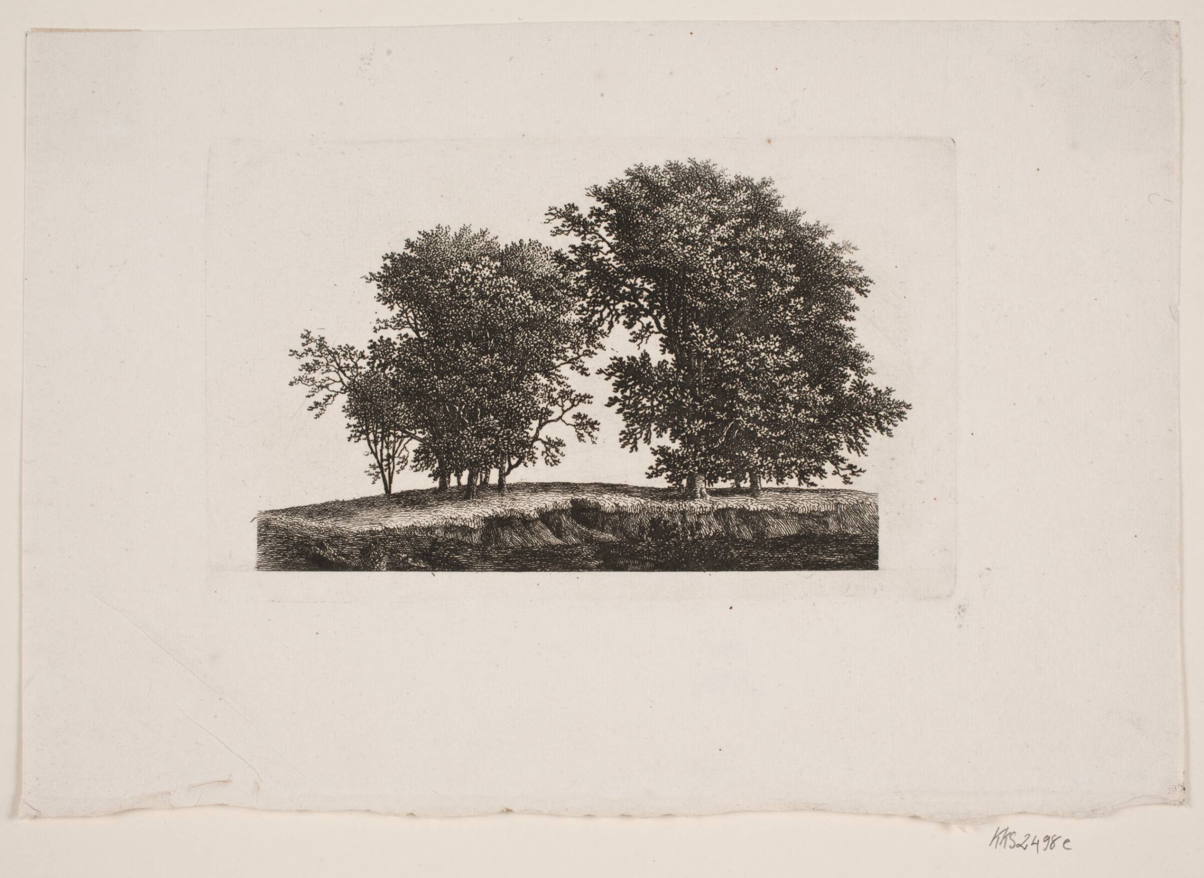 Slette med træer, Søren Henrik Petersen, 1788-1860