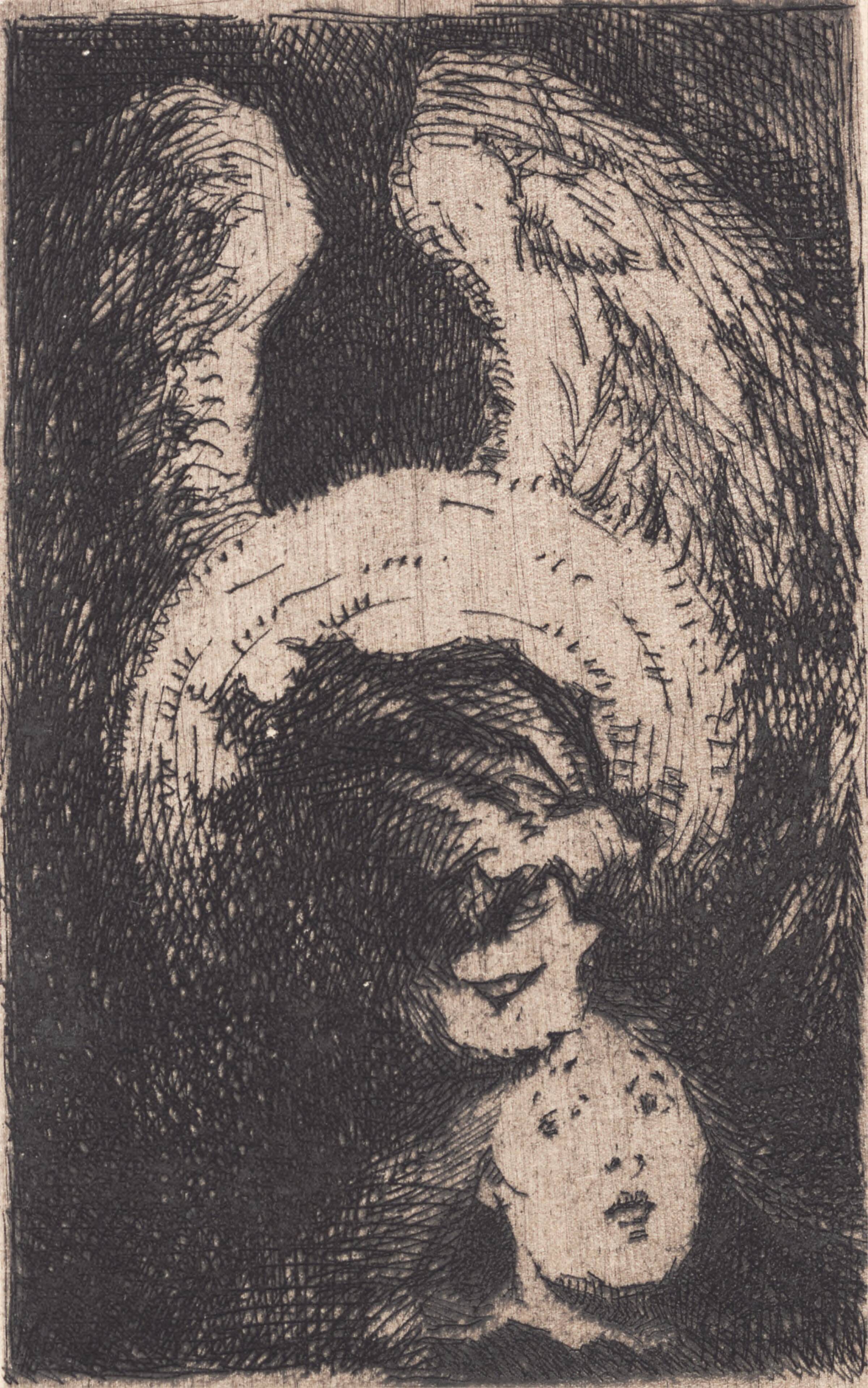 Nytårsaften 1893. Prøveplade, Frans Schwartz, 1893