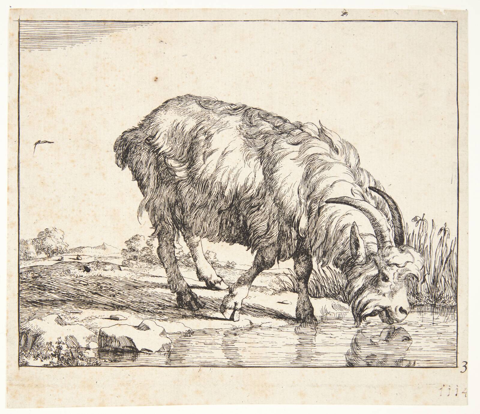 Drikkende ged, Marcus de Bye, 1638-1690