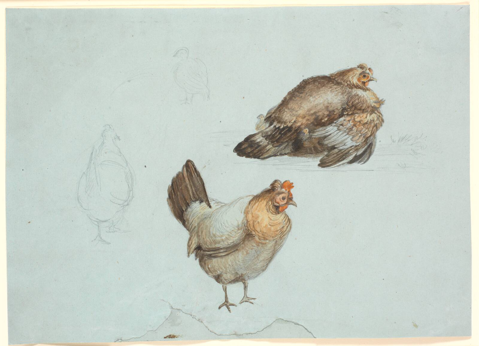 Høns. Studie, Theodor Philipsen, 1875