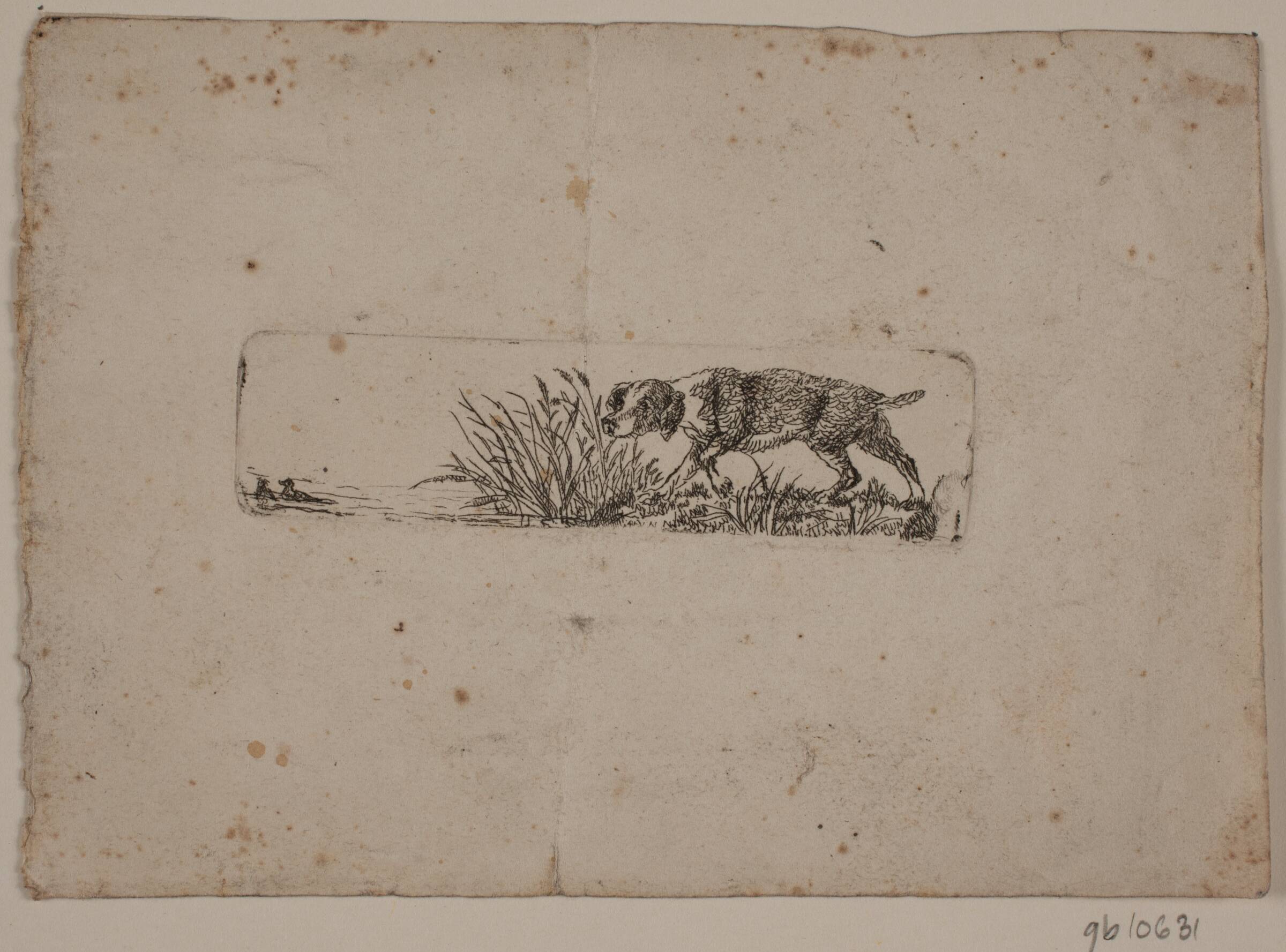 En hønsehund, Christian David Gebauer, 1777-1831
