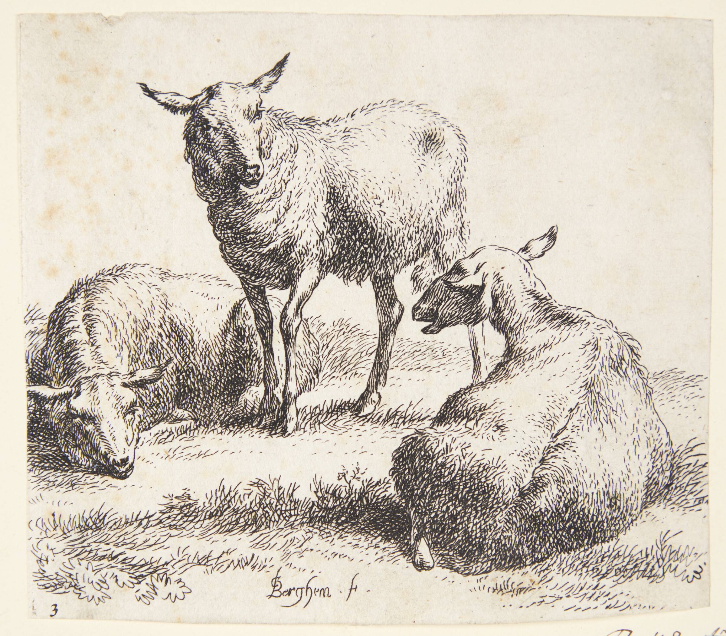 To liggende og et stående får, Nicolaes Berchem, 1620-1683