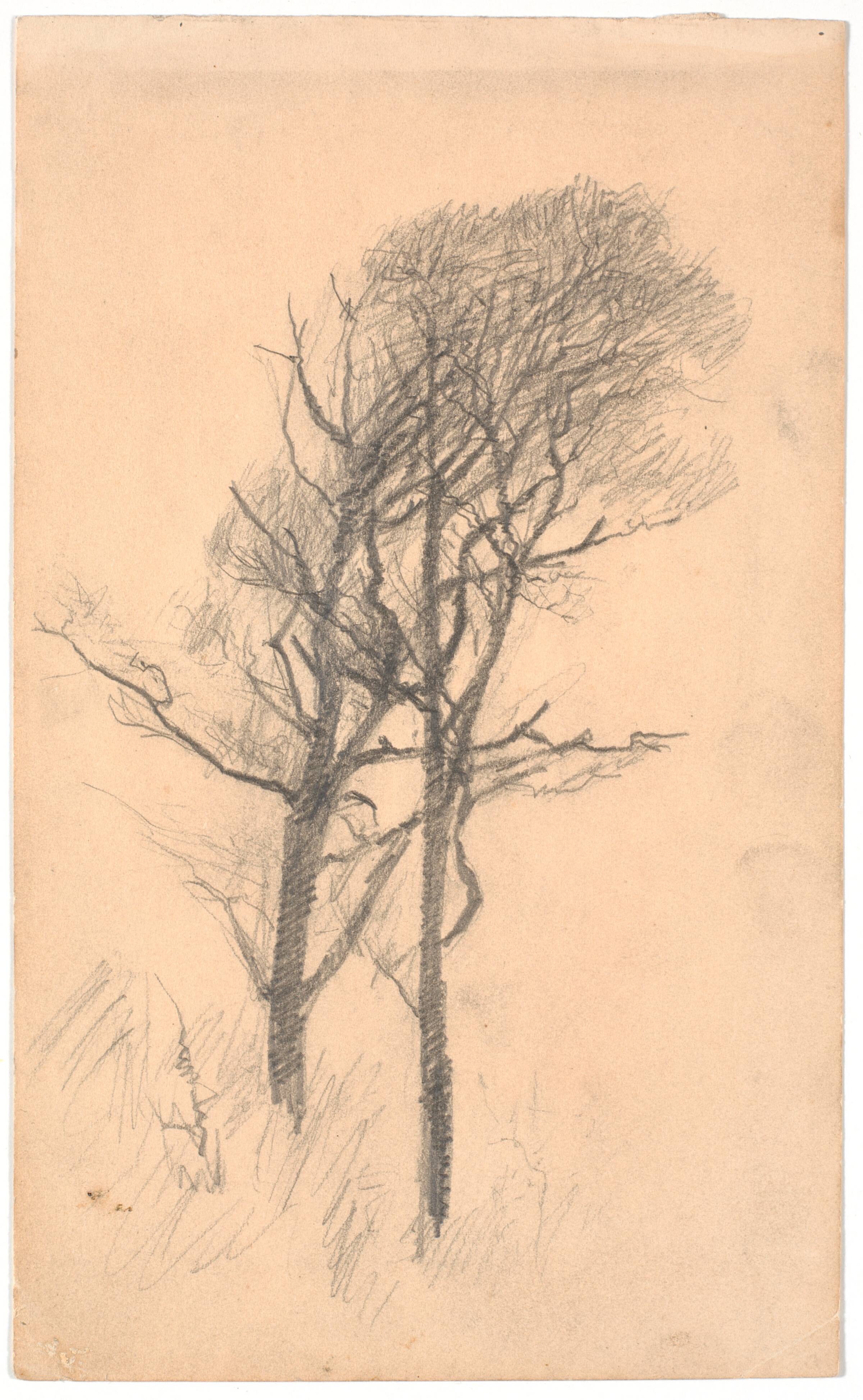 To træer med lav underskov, L.A. Ring, 1854-1933