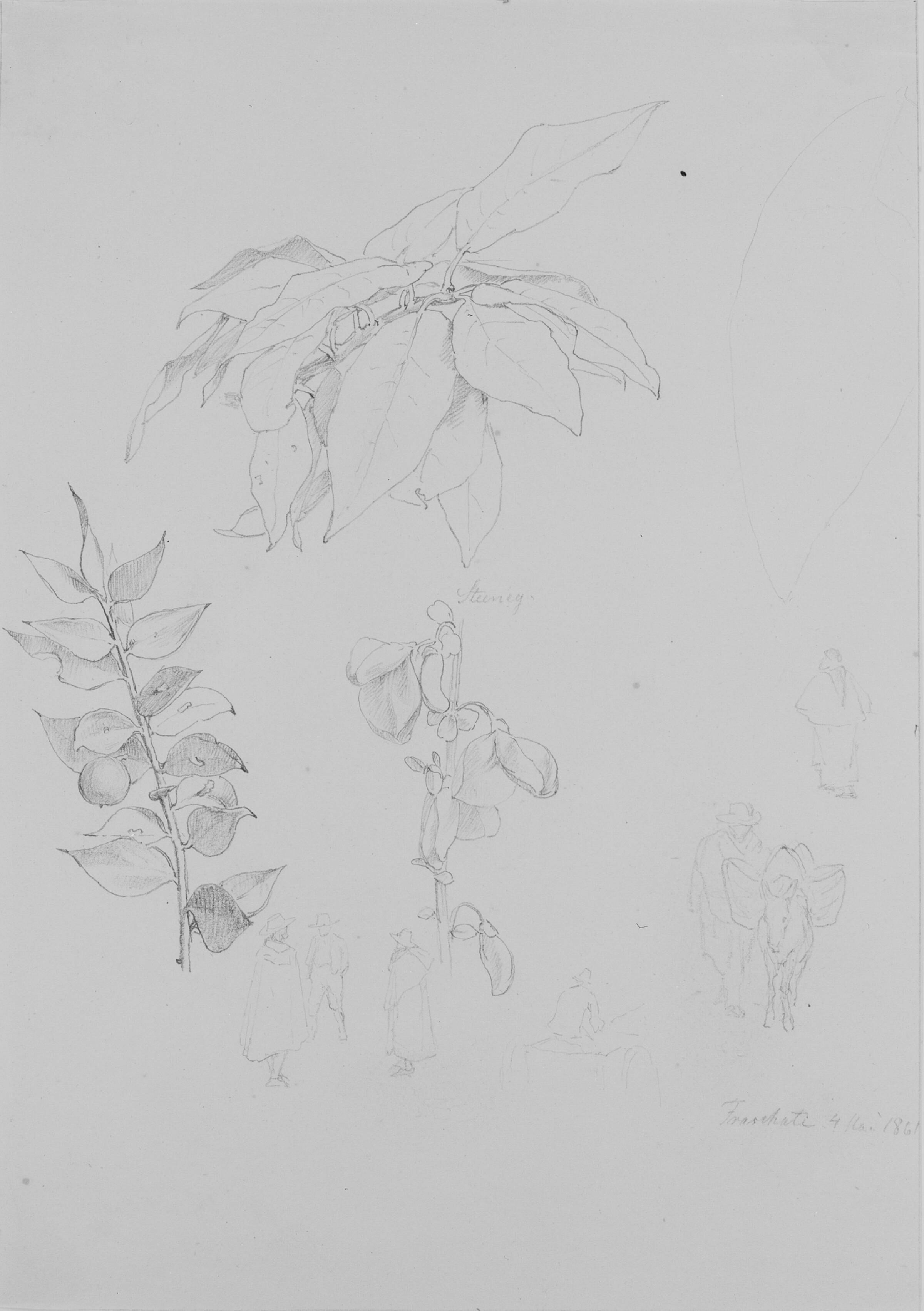 Plante- og figurstudier, C.A. Kølle, 1861