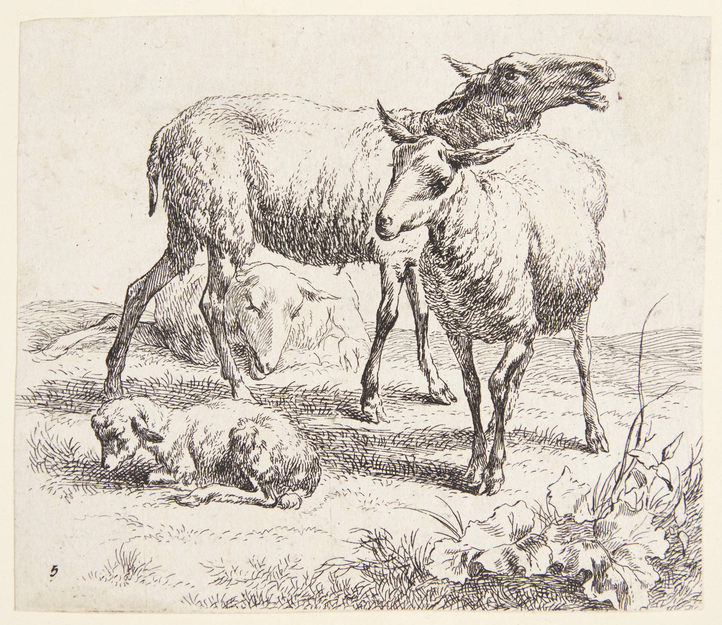 To stående får og et lam, Nicolaes Berchem, 1620-1683