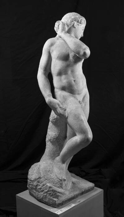 Apollon
