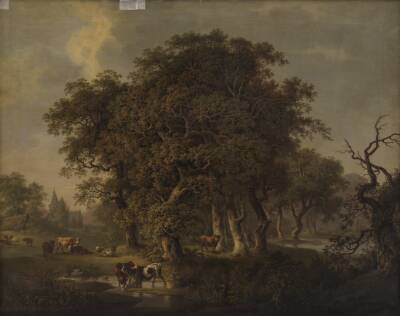 Kvæg i en skov