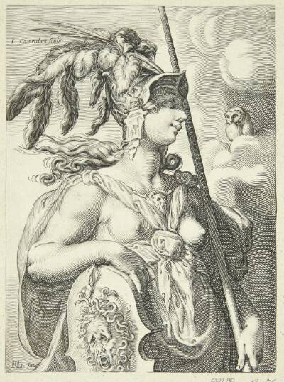 Pallas