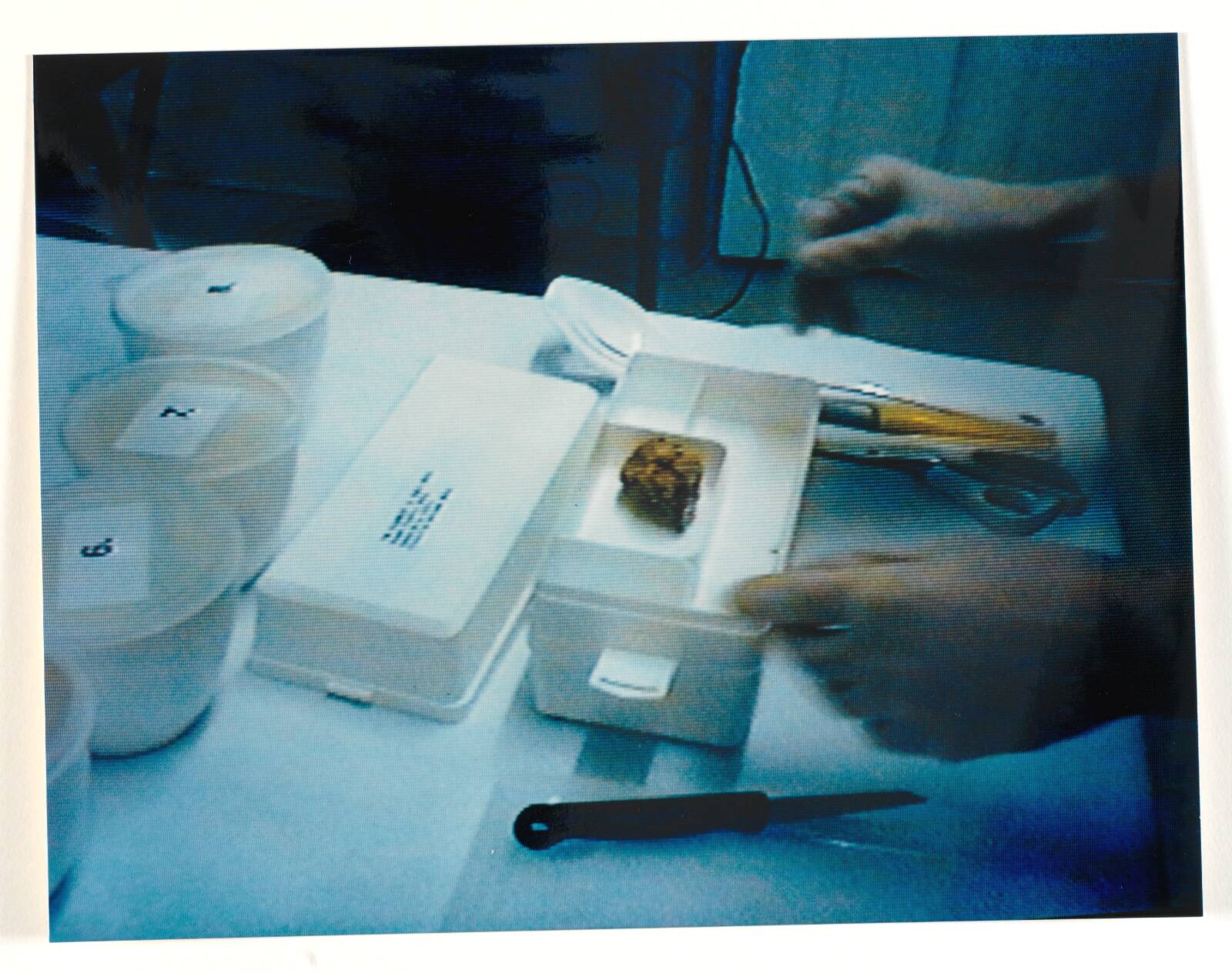 Labotik, Anja Franke, 1995