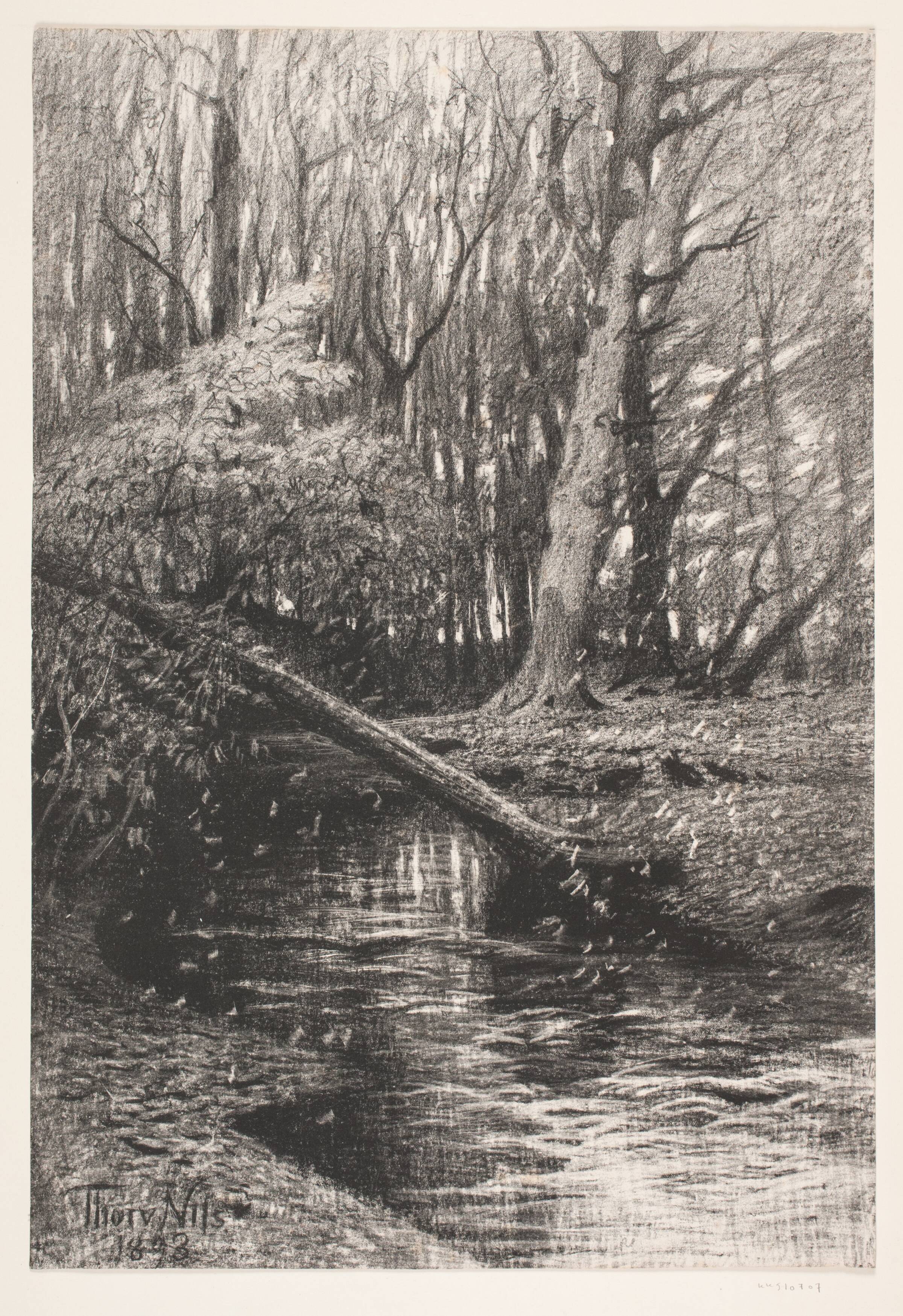 Skovlandskab med en å, Thorvald Niss, 1893