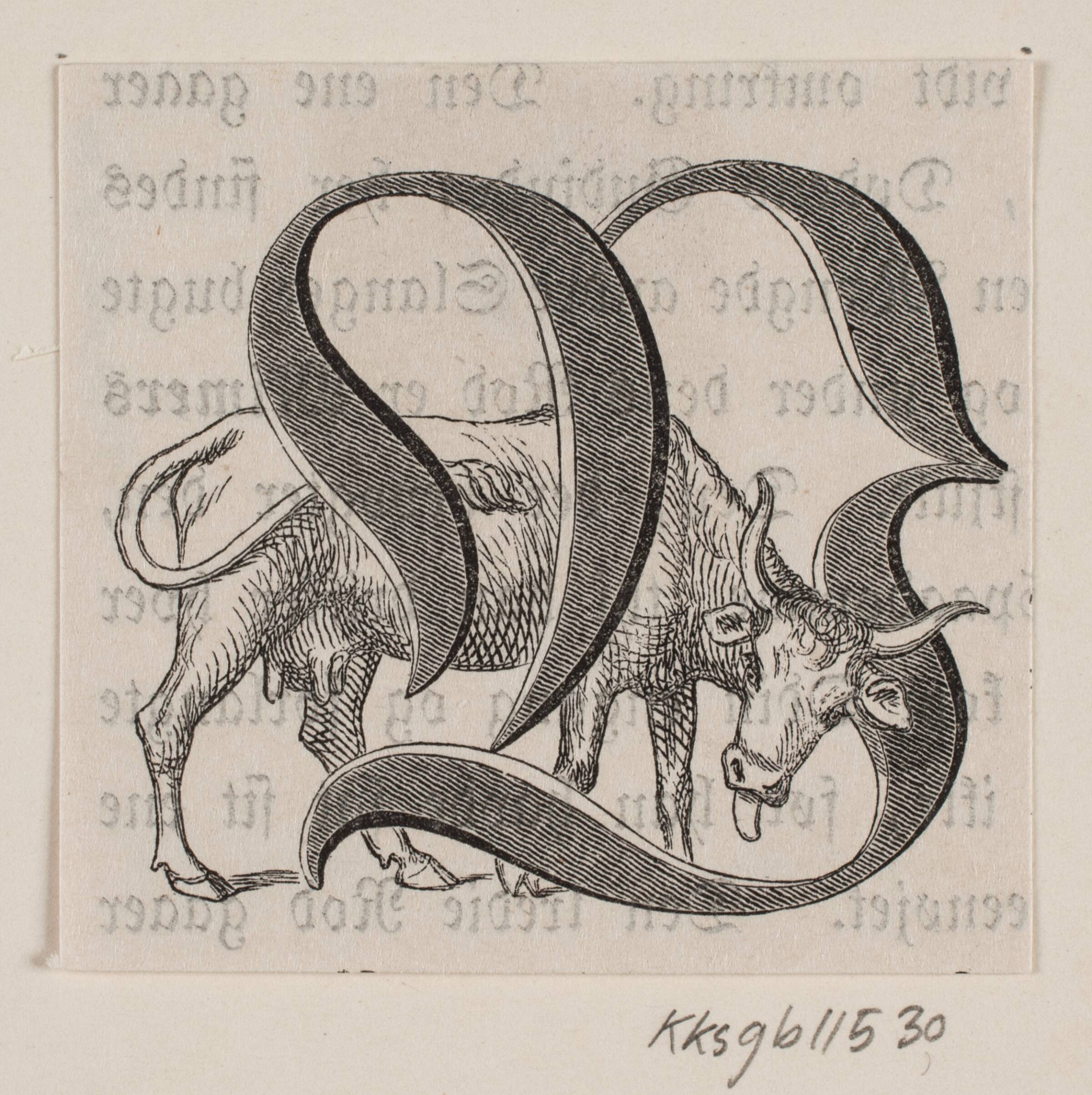 Initialer til Fabricius' Danmarks historie, H.C. Henneberg, 1854