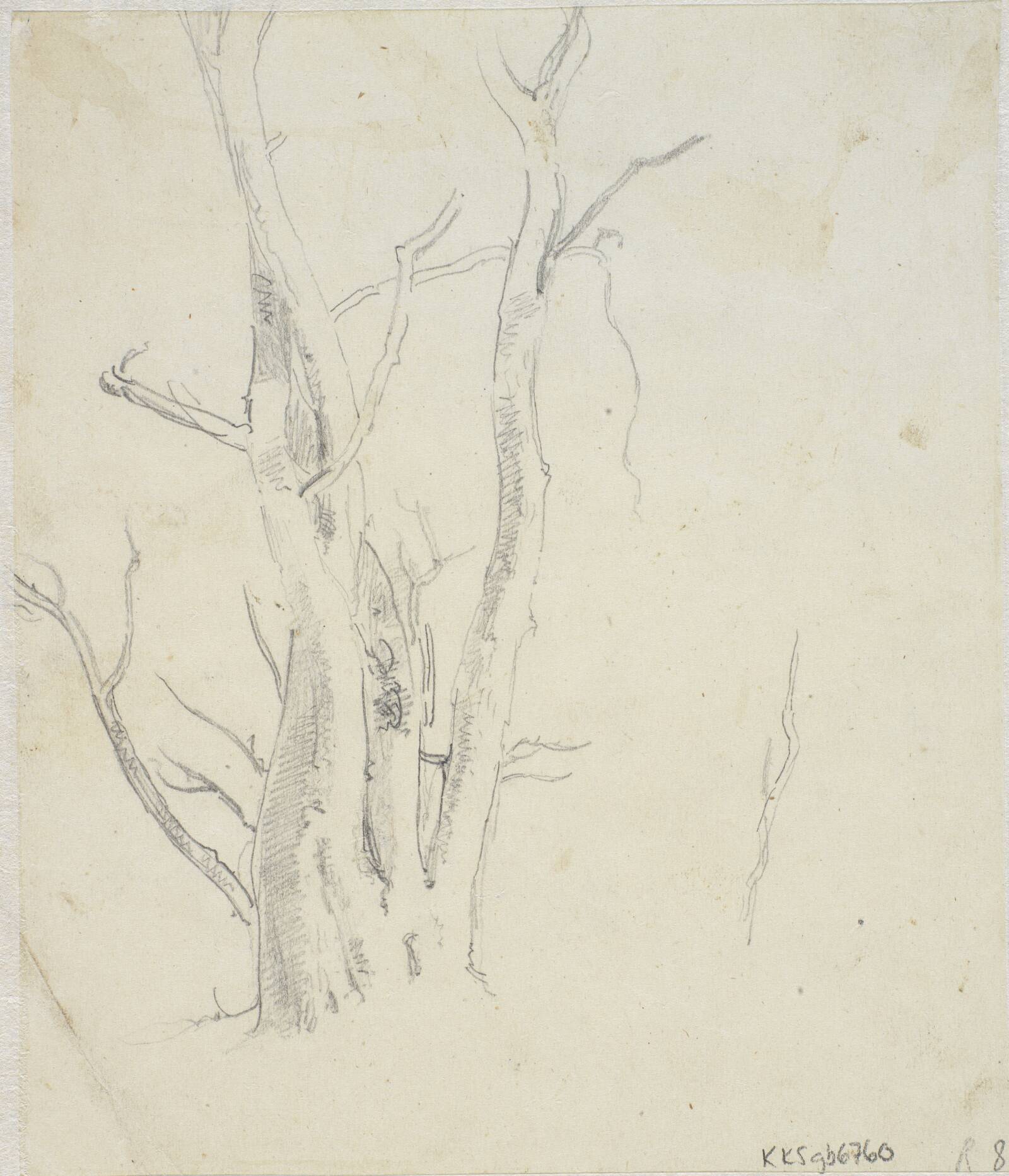 Træstudie, Dankvart Dreyer, 1831-1852