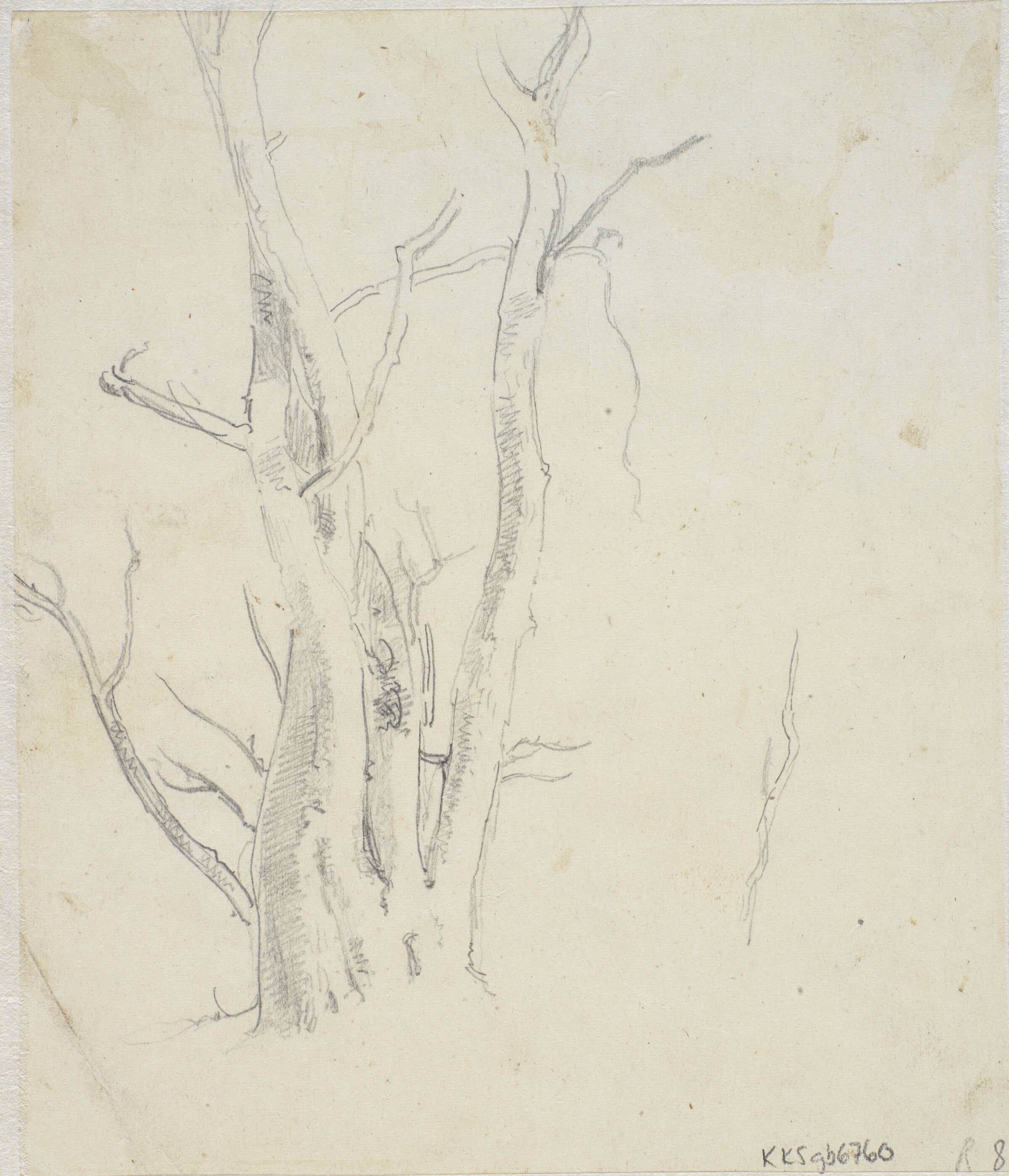 Træstudie, Dankvart Dreyer, 1831-1852