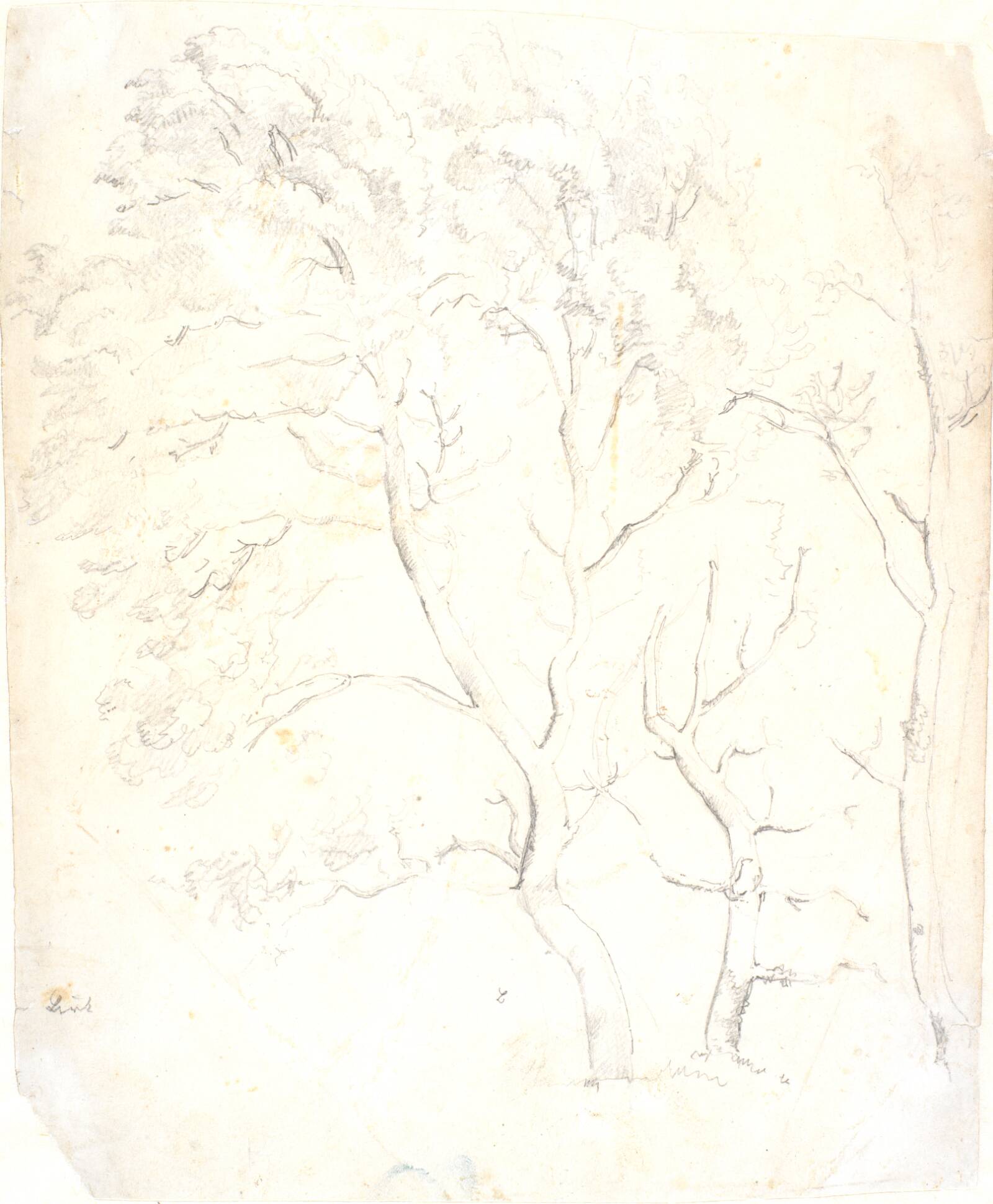 Træstudier, Dankvart Dreyer, 1831-1852